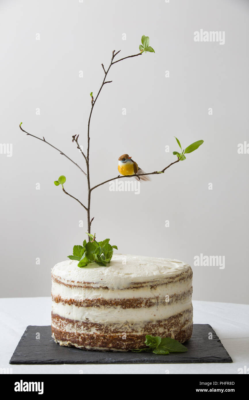 Delicieux Gateau D Anniversaire Avec La Branche D Un Arbre Des Oiseaux Des Bougies Et Le Nombre 2 Comme Decoration Beau Gateau De Carotte Blanche Sur Le Tableau Noir Pour Le Secon Photo Stock
