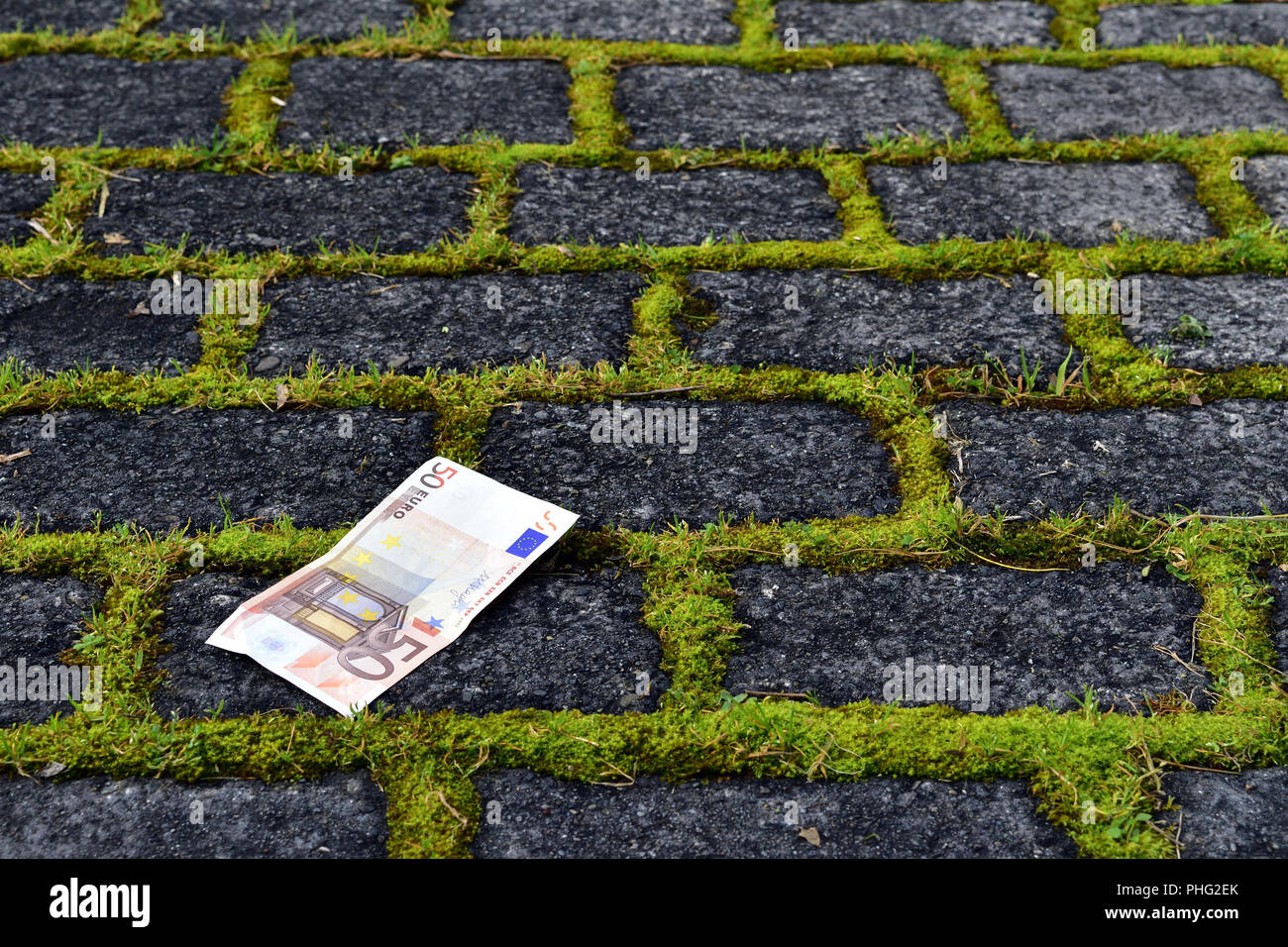 50 euro note sur une voie pleine de mousse Banque D'Images