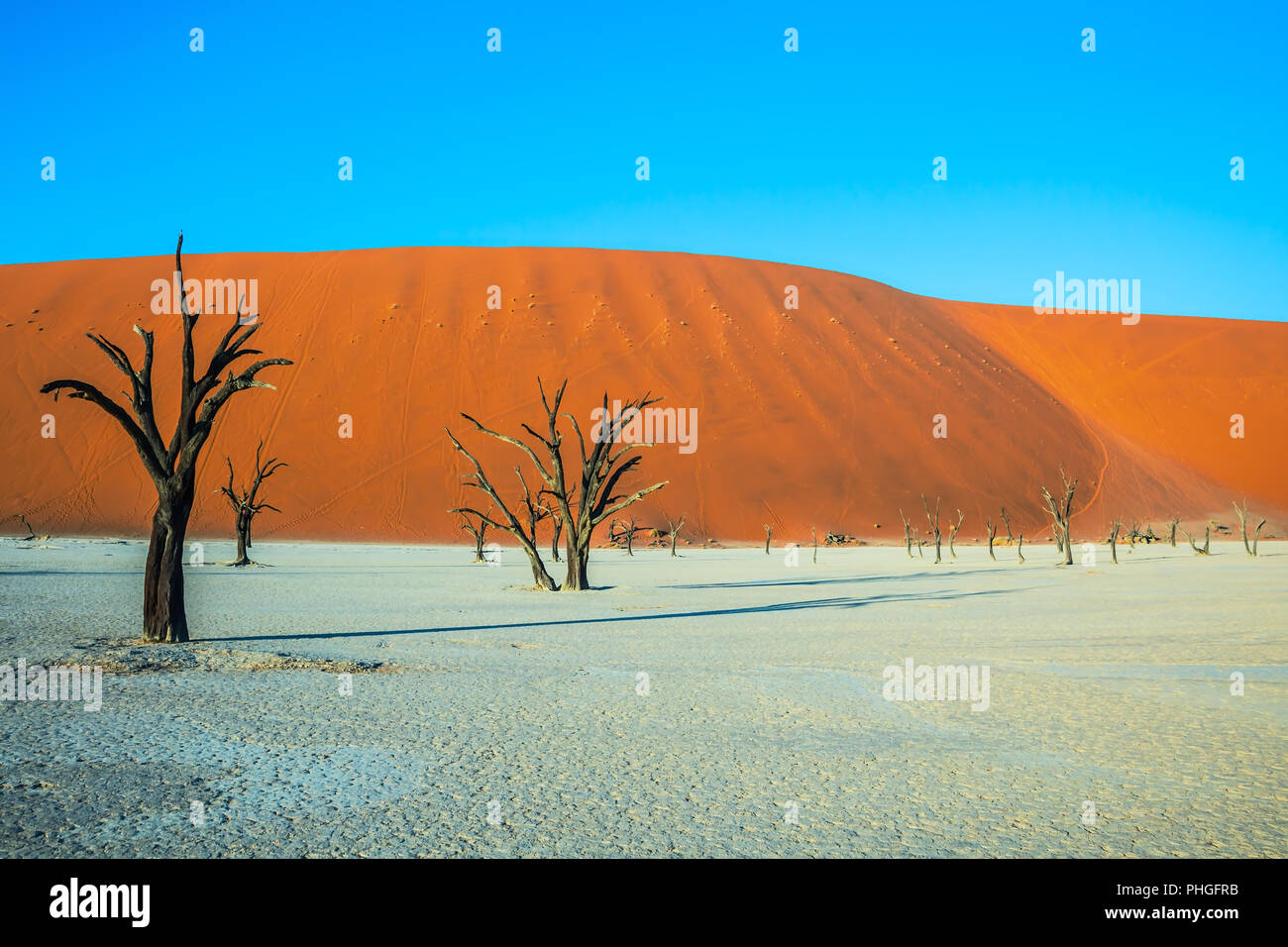 Le fond de lac séché Banque D'Images