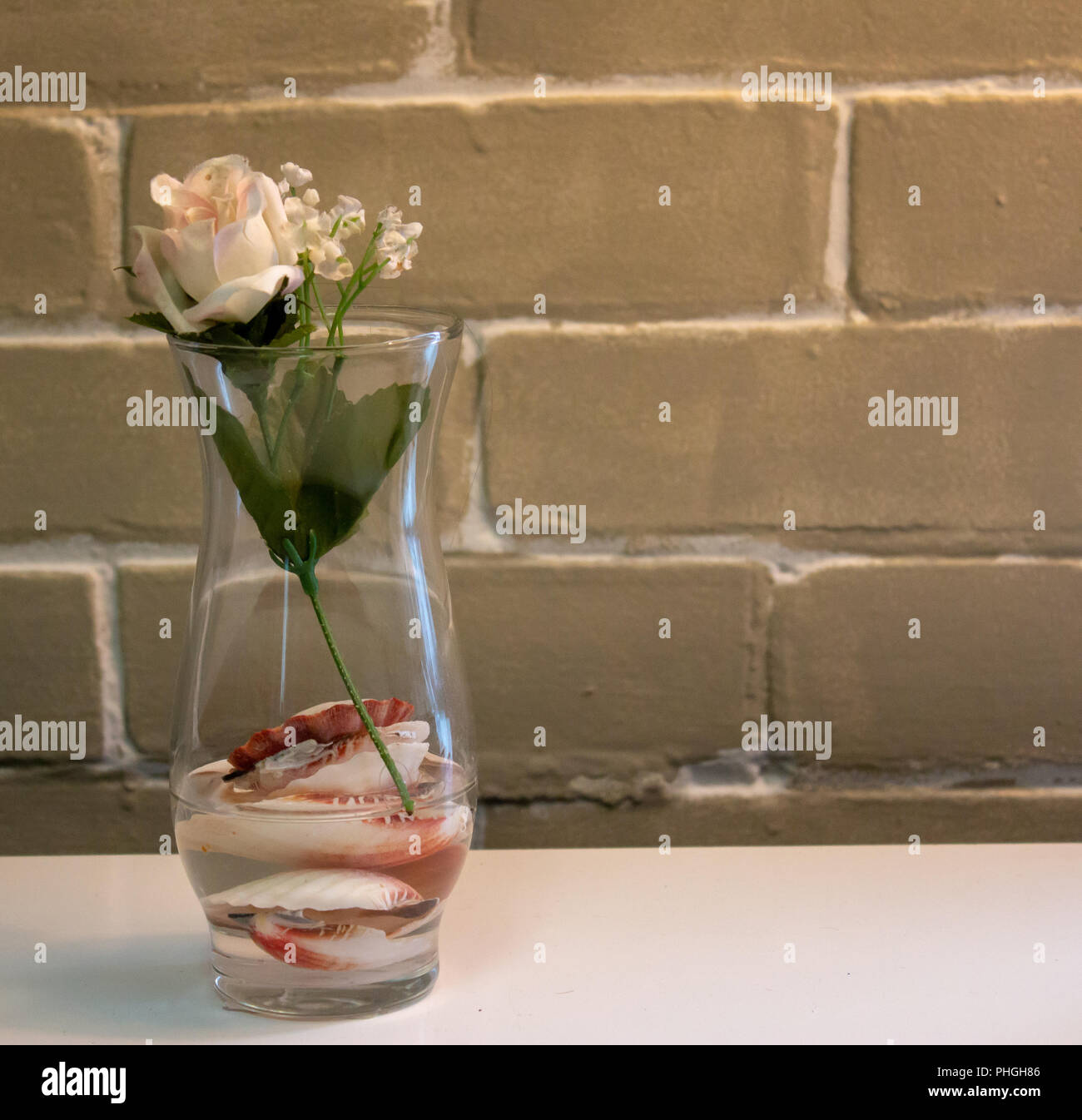 Une rose dans un vase avec de l'eau et de coquillages Banque D'Images