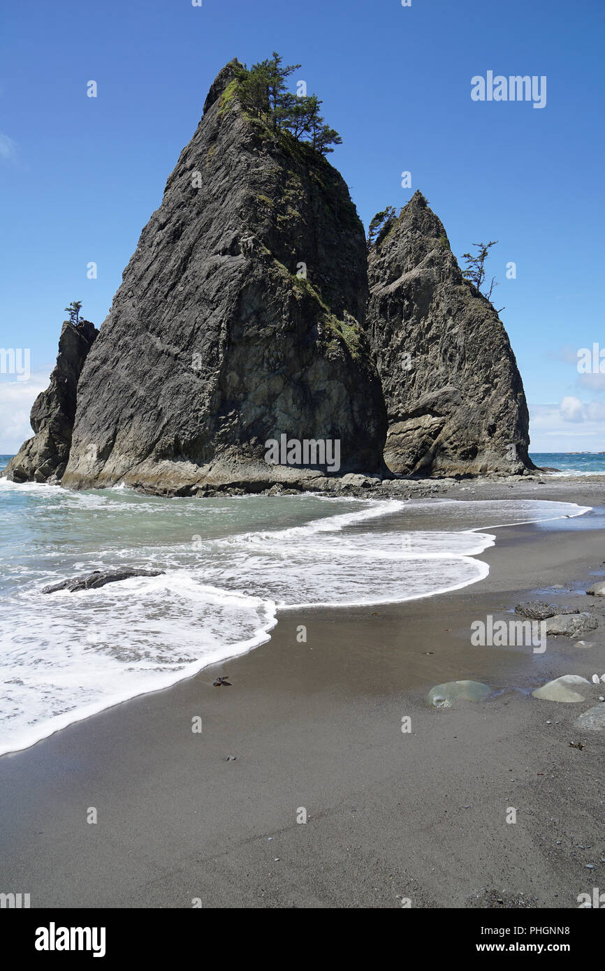 Les piles de la mer au Rialto Beach, Olympic National Park, Washington USA Banque D'Images