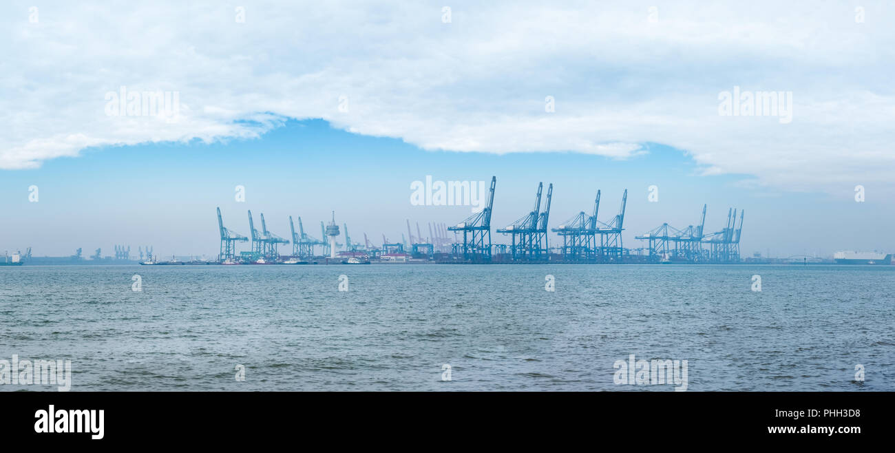 Tianjin port maritime de conteneurs Banque D'Images