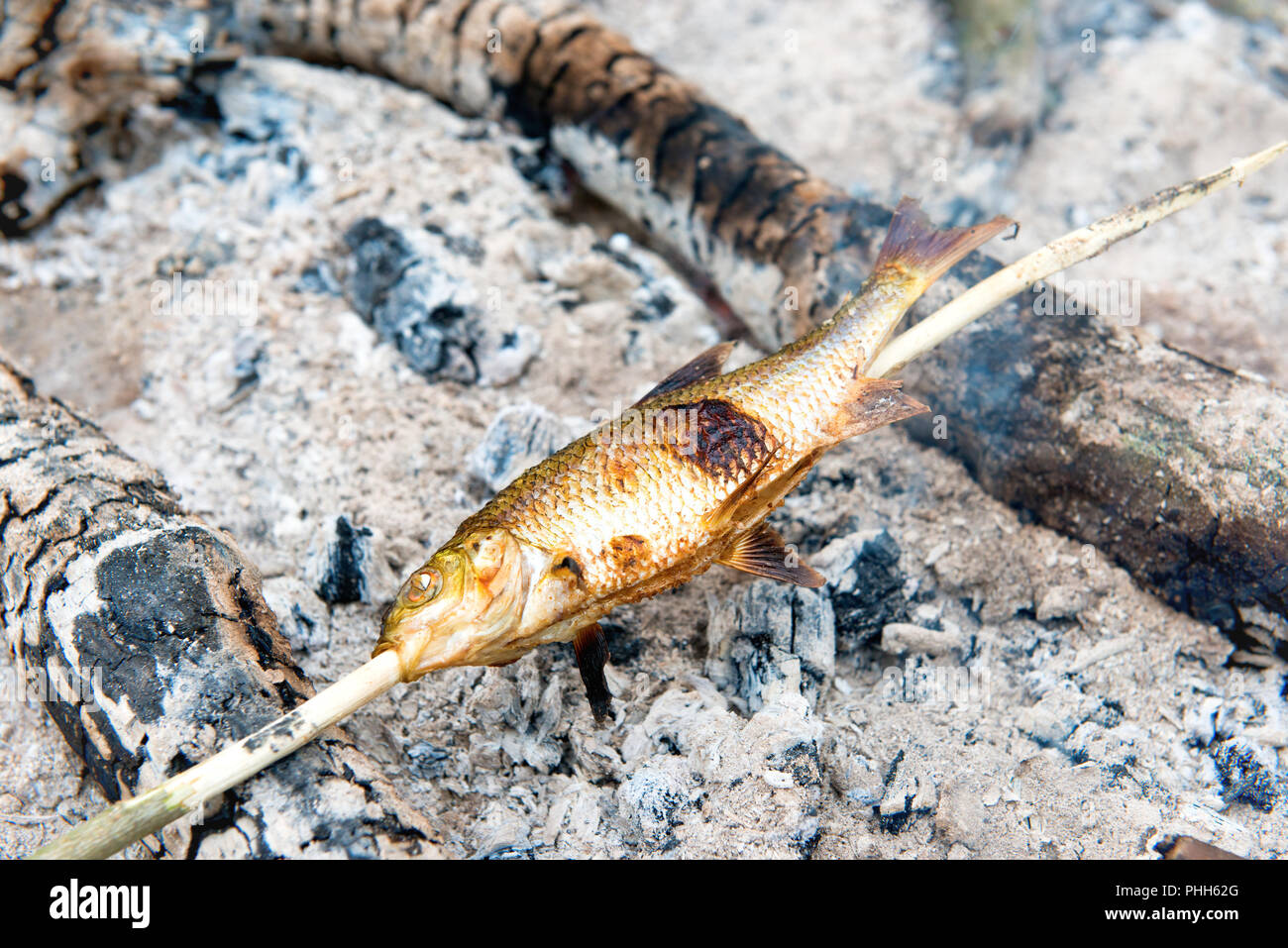 Les poissons grillés sur le feu Banque D'Images