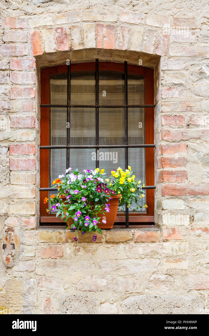 Chambre fenêtre avec un fleurs Banque D'Images