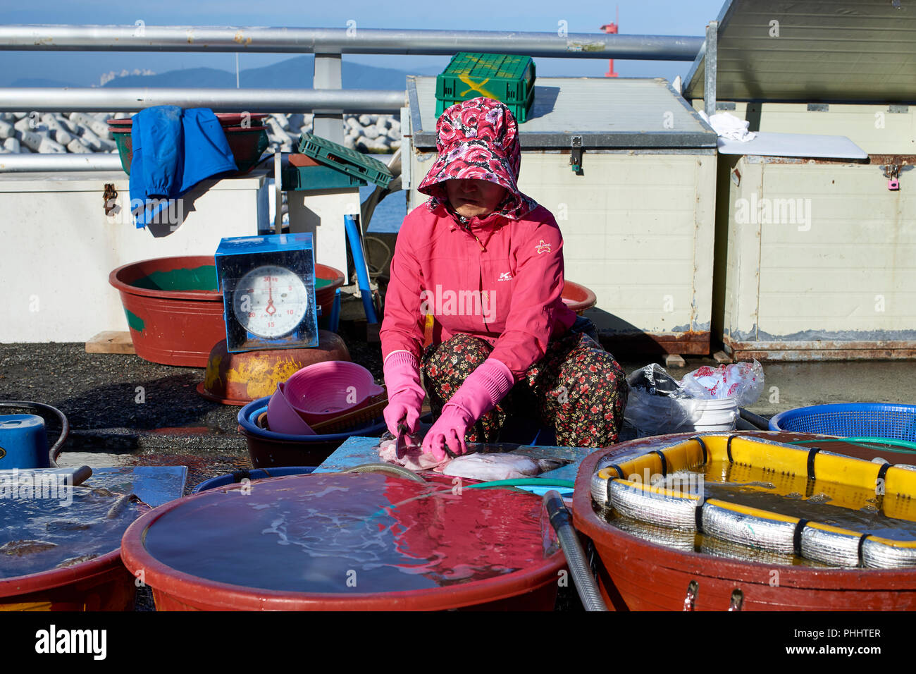 Femme en train de nettoyer le poisson pour les acheteurs sur le quai du petit port de pêche de la plage de Haeundae, Busan, tôt le matin. Banque D'Images