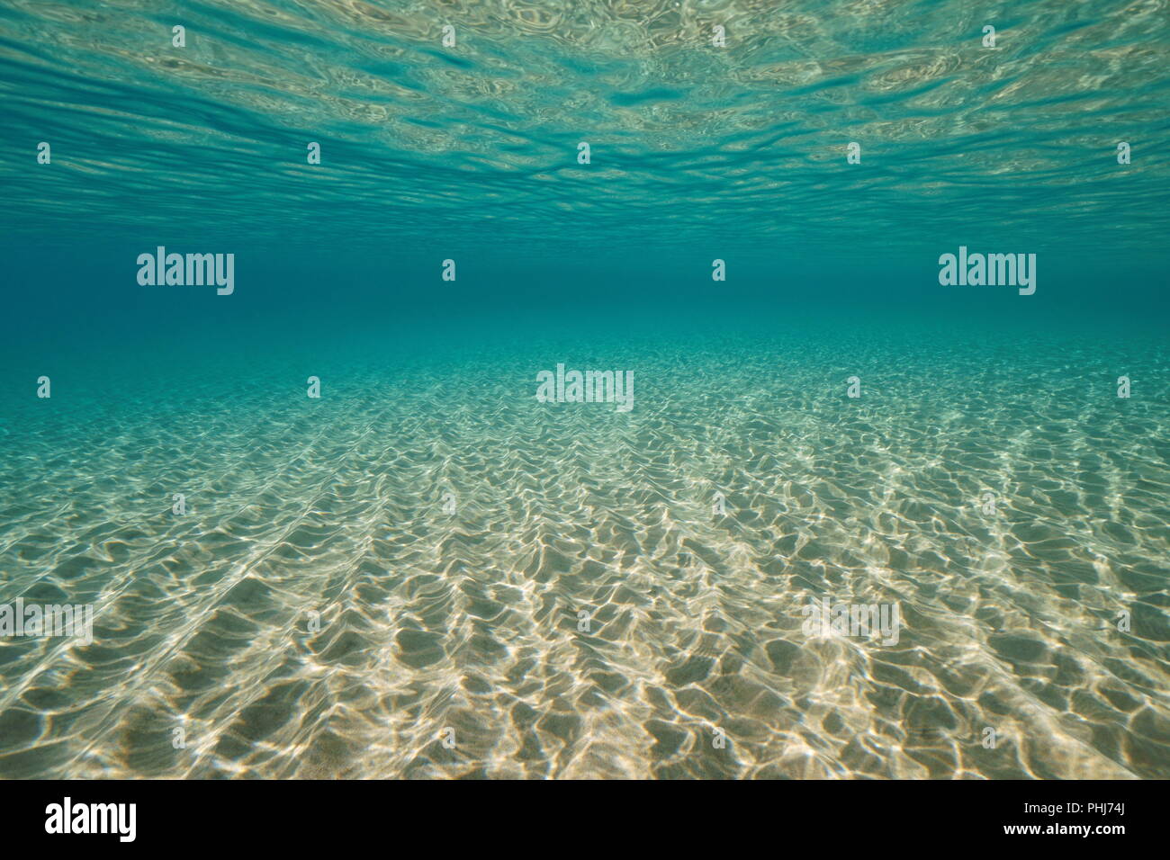 Fond de sable et d'eau sous l'eau de surface dans la mer Méditerranée, scène naturelle, le parc naturel Cabo de Gata-Níjar, Almería, Andalousie, Espagne Banque D'Images