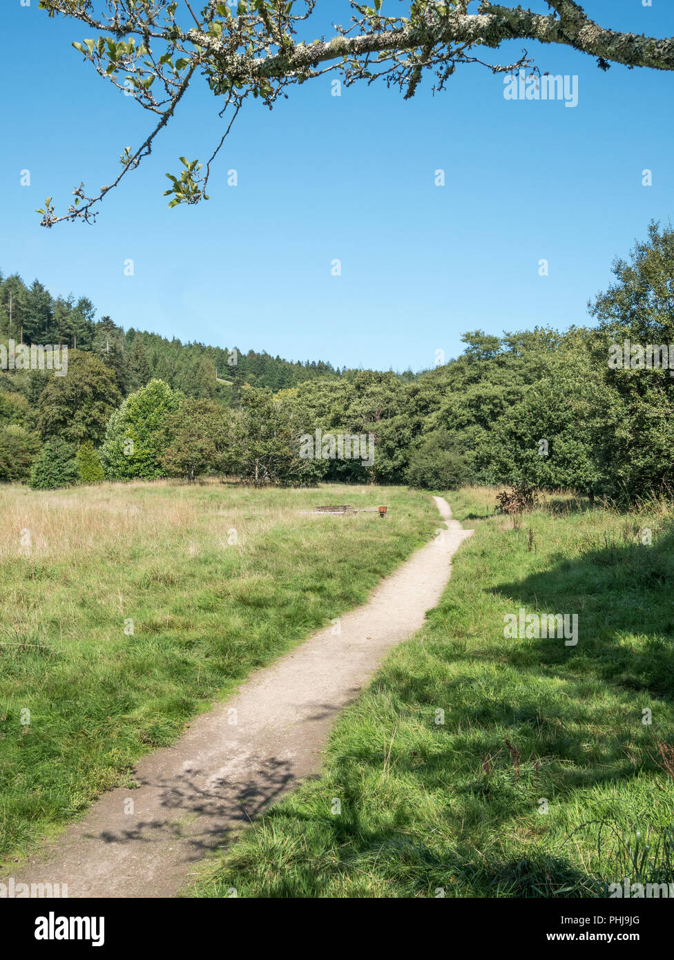 Sentier dans la ville de Lostwithiel Cornouailles. Long chemin à parcourir la métaphore. Banque D'Images