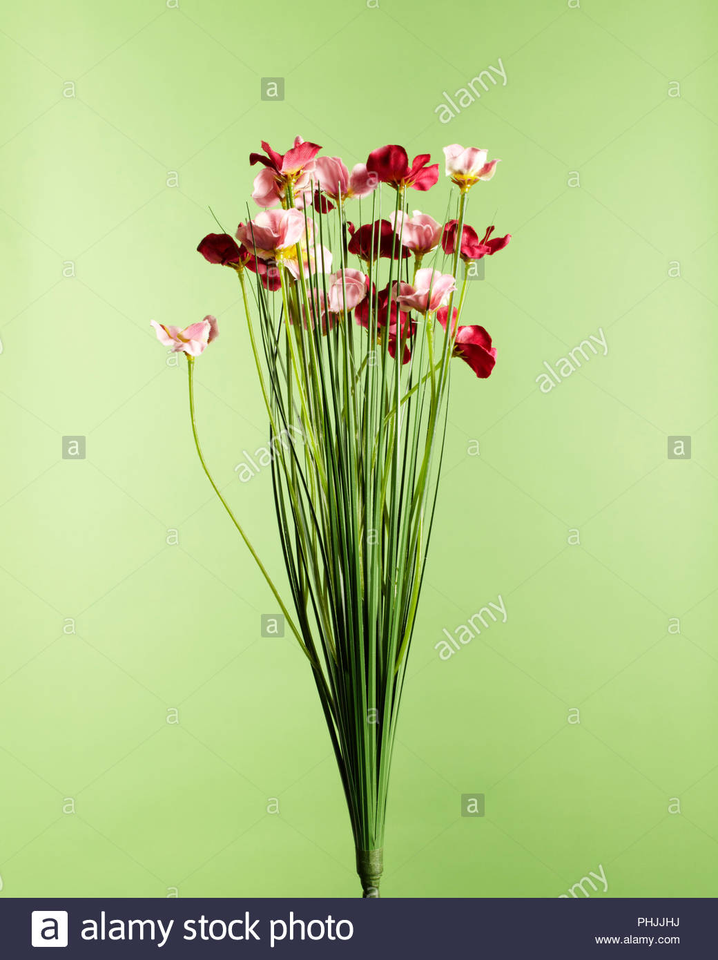 Fleurs roses et rouges Banque D'Images