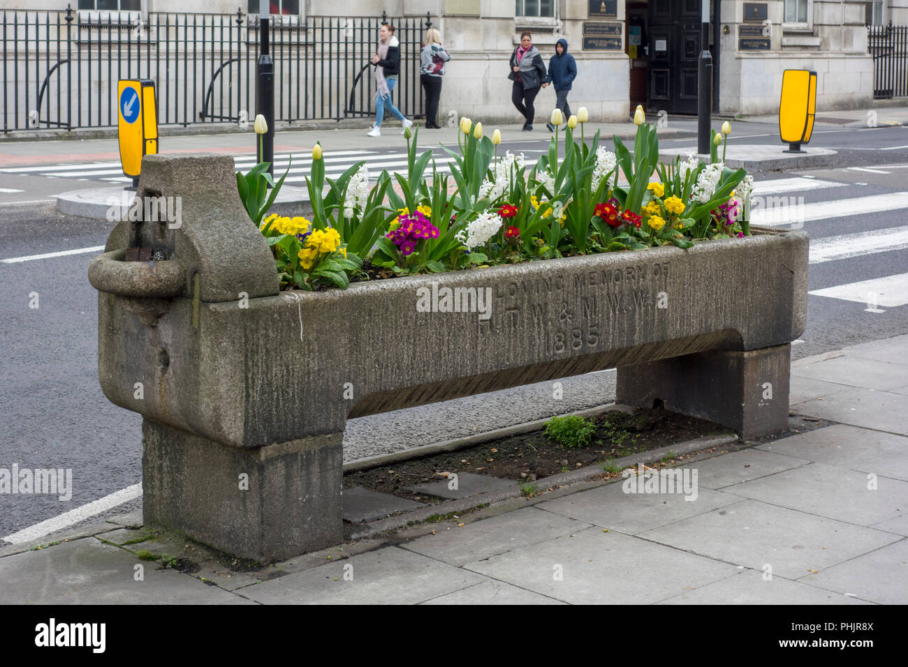 Abreuvoir historique planté de fleurs, Fontaine d'eau potable et de bovins métropolitaine par association, Ville de London, UK Banque D'Images