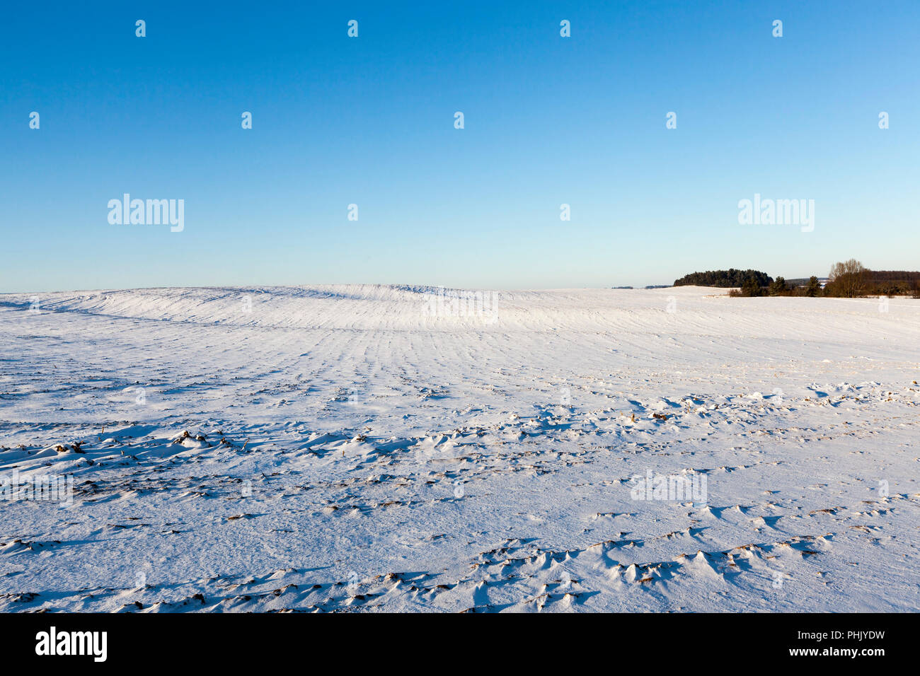 Domaine couvert avec des bancs de neige petit mot, hiver, photo de paysage Banque D'Images