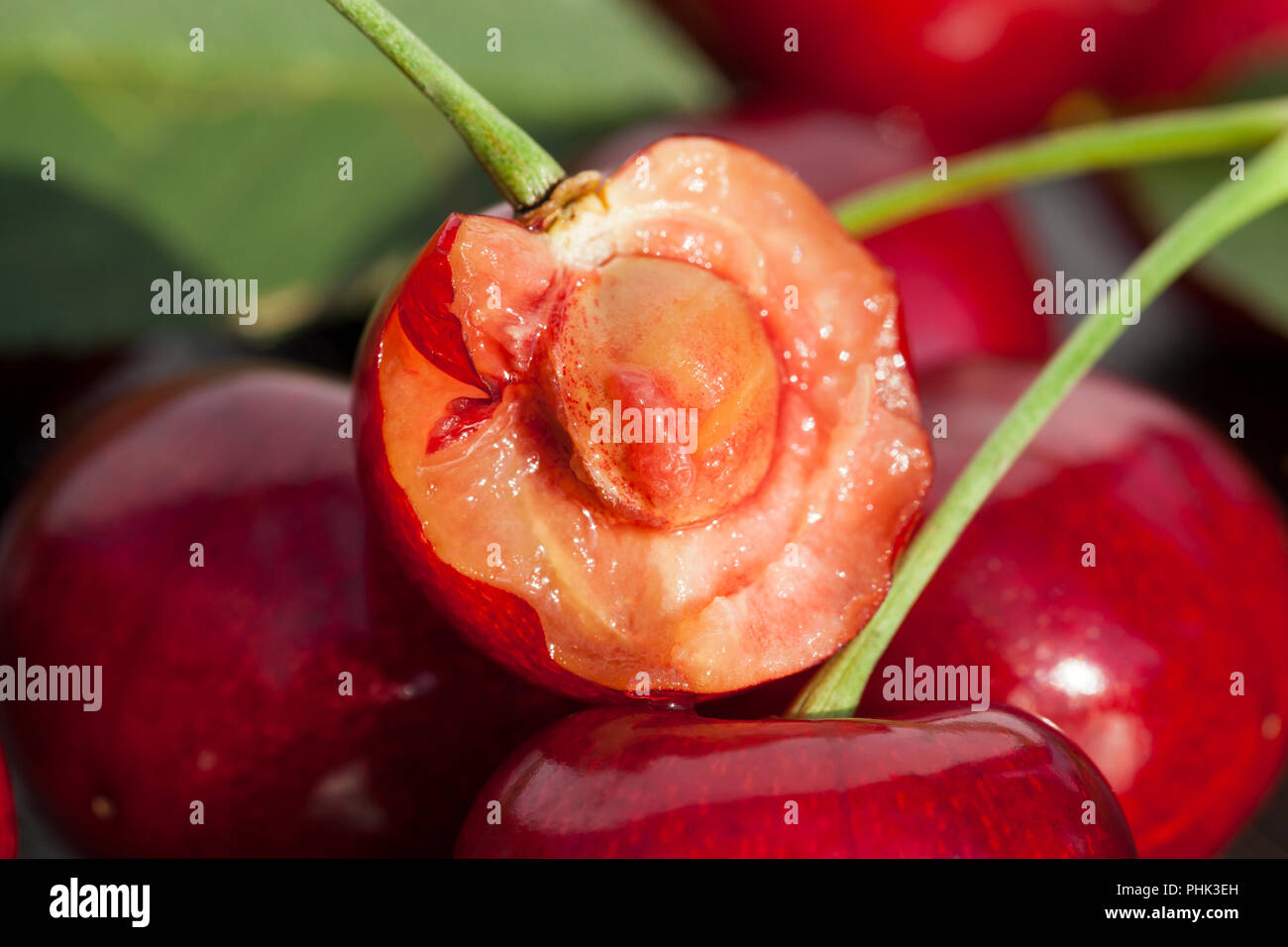 Un tas de cerises mûres rouge l'une des baies est mordu et est de retour dans le tas, gros plan Banque D'Images