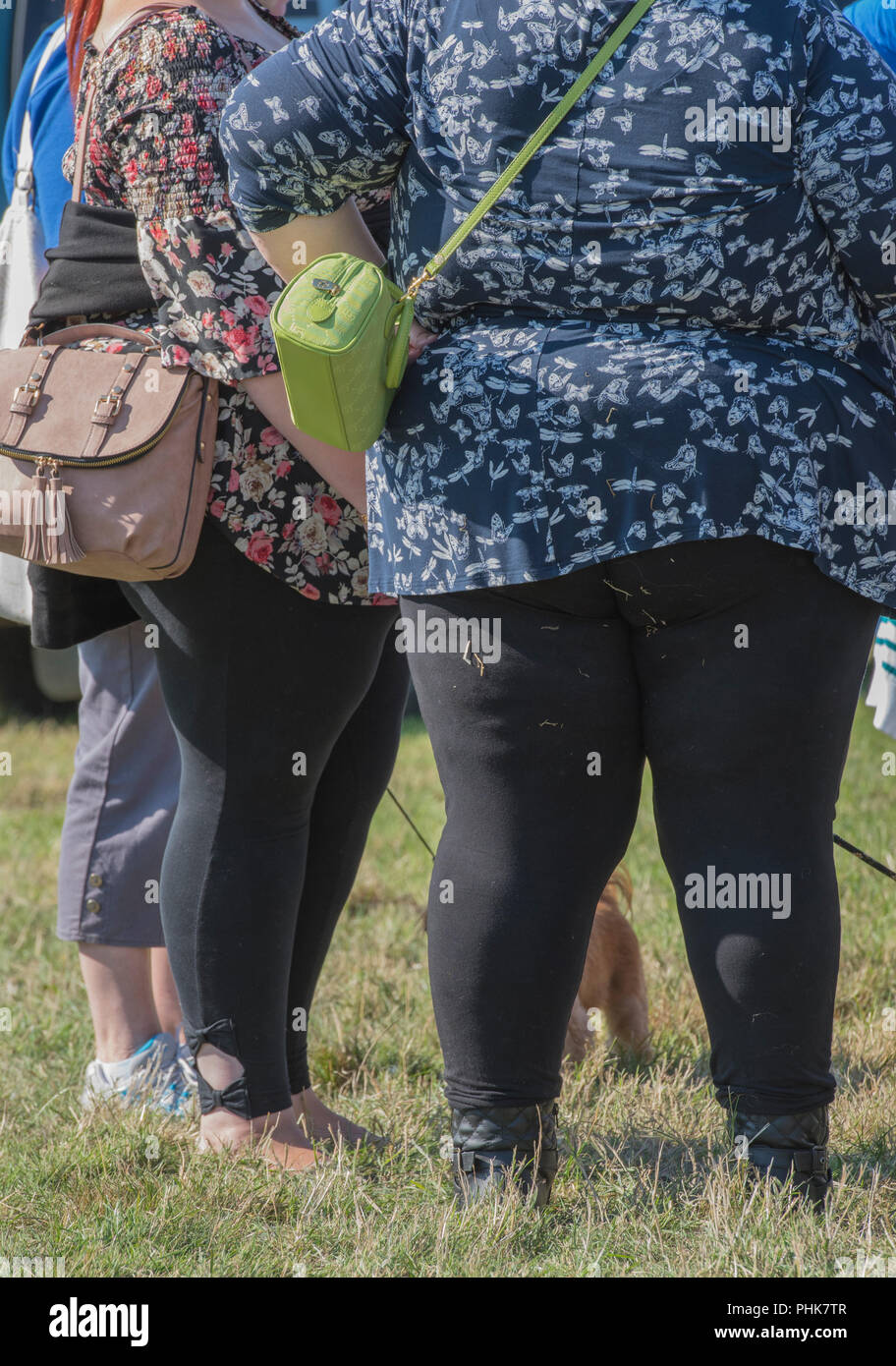 Deux gros sacs à main mesdames avec debout ensemble sur l'herbe. L'obésité et l'obésité chez les femmes. Banque D'Images