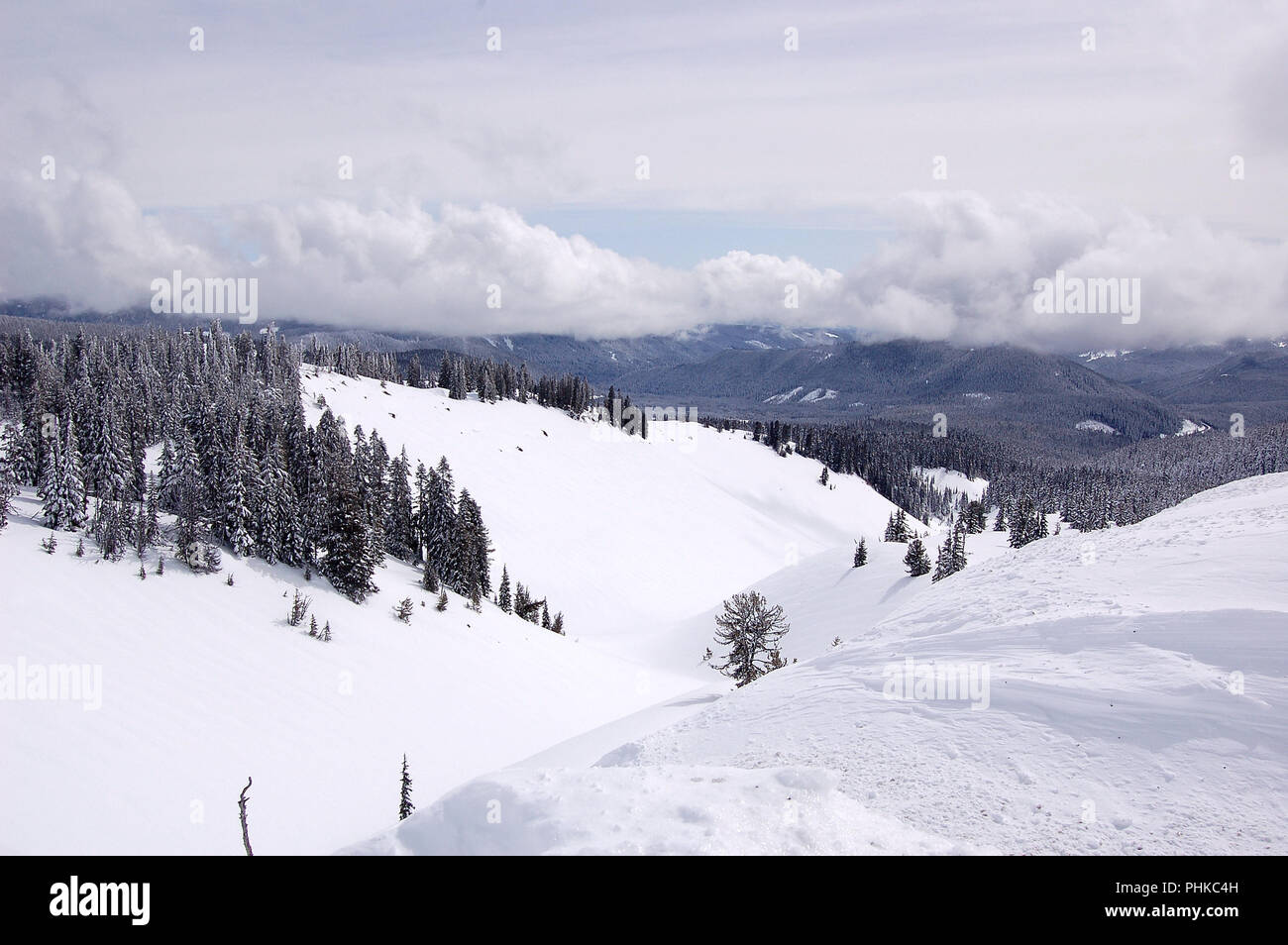 Mt. Paysage de la hotte Banque D'Images