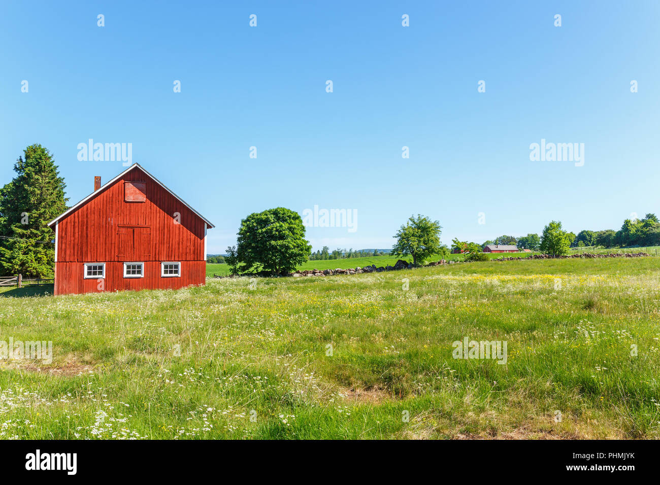 La floraison de l'été pré dans un paysage rural avec une grange Banque D'Images