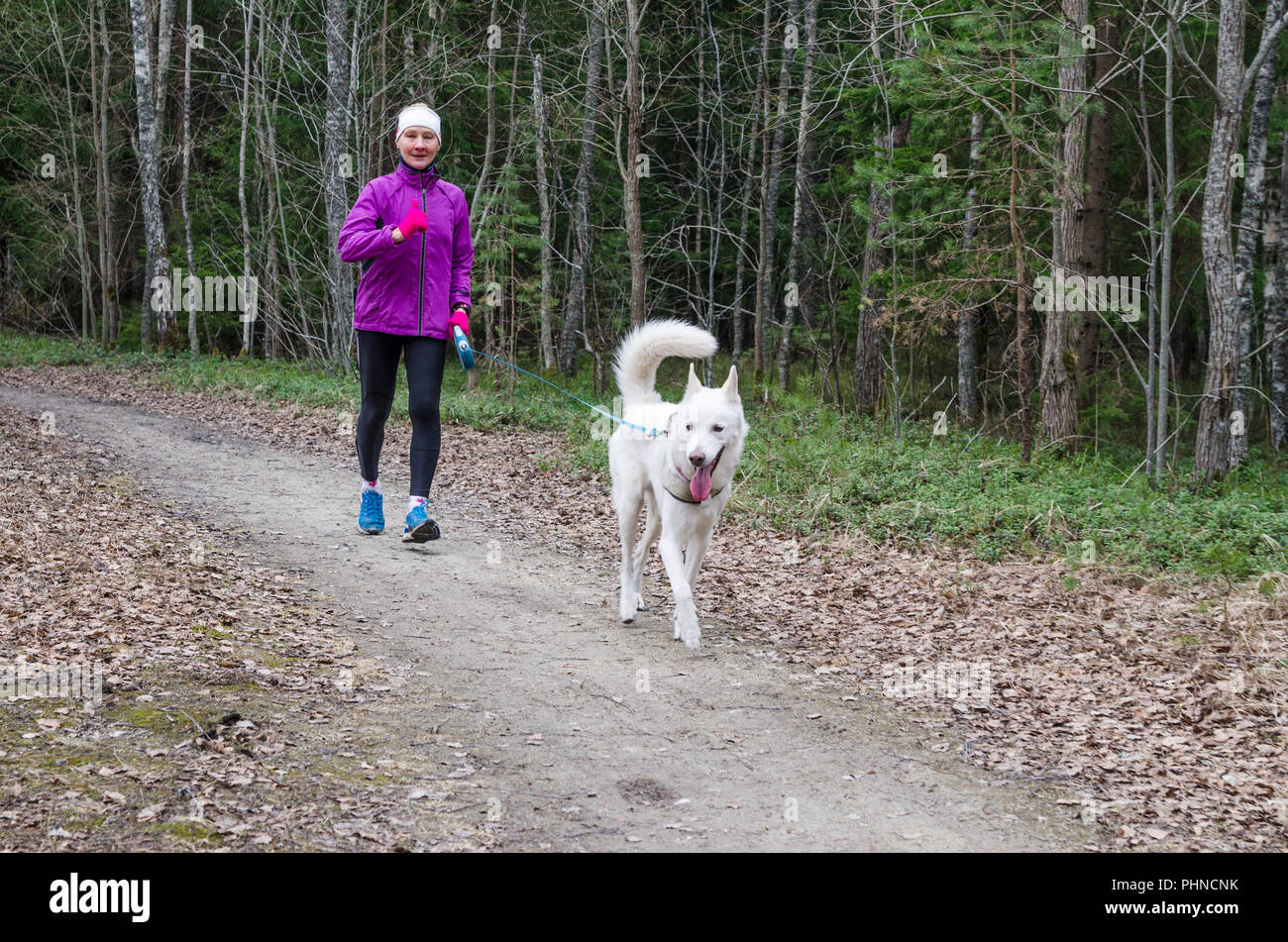 Femme avec un chien sur une course dans le parc Banque D'Images