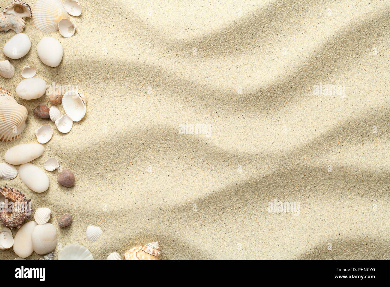 Fond de plage de sable, de coquillages et de pierres Banque D'Images