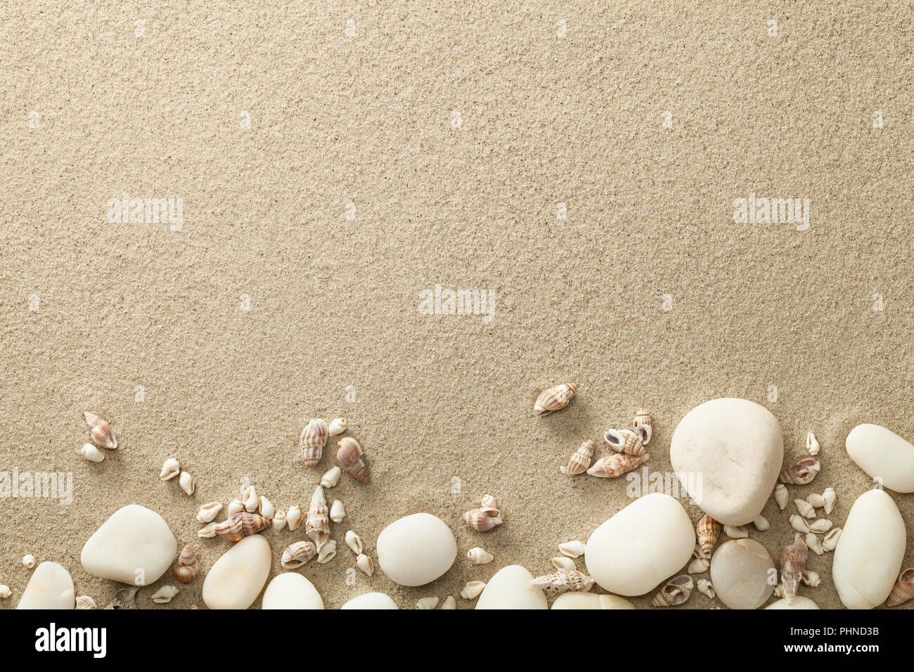 Fond de plage de sable, de coquillages et de pierres Banque D'Images