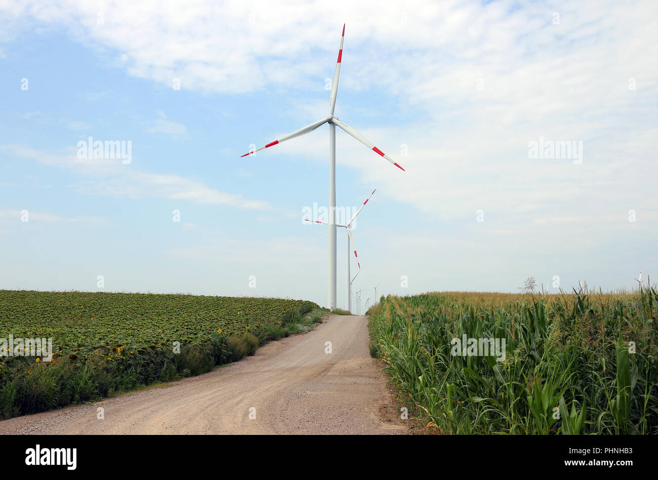 Les énergies renouvelables éoliennes enegry paysage de campagne Banque D'Images