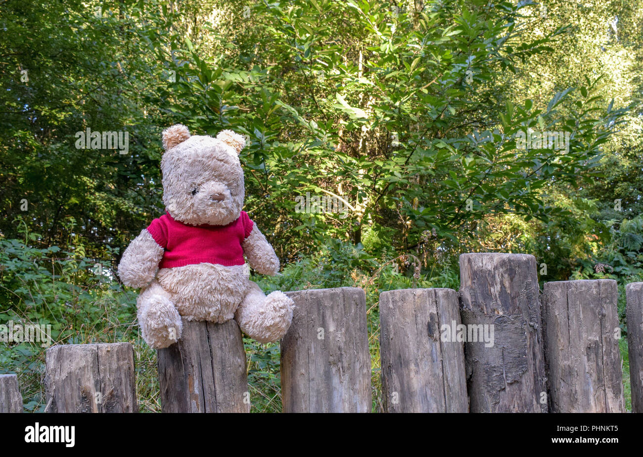 Winnie l’ourson Banque D'Images