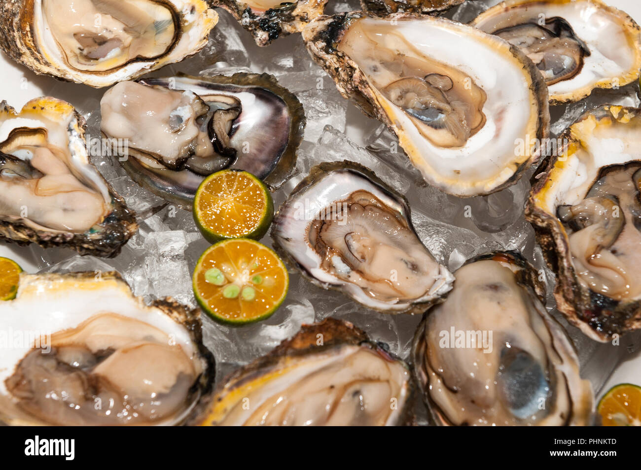 Plateau d'huîtres fraîches au restaurant de fruits de mer Banque D'Images