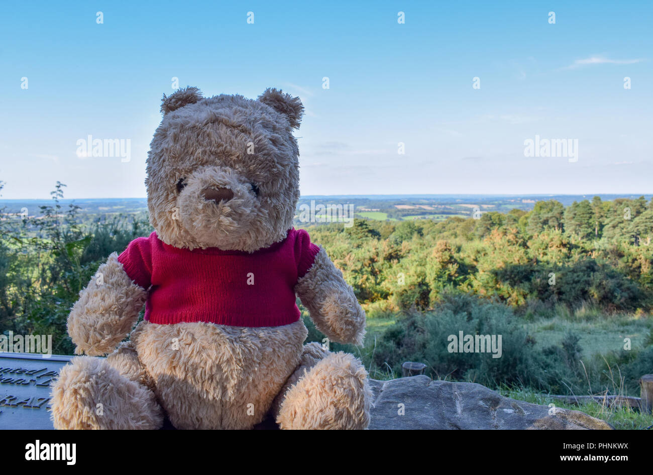 Winnie l’ourson Banque D'Images