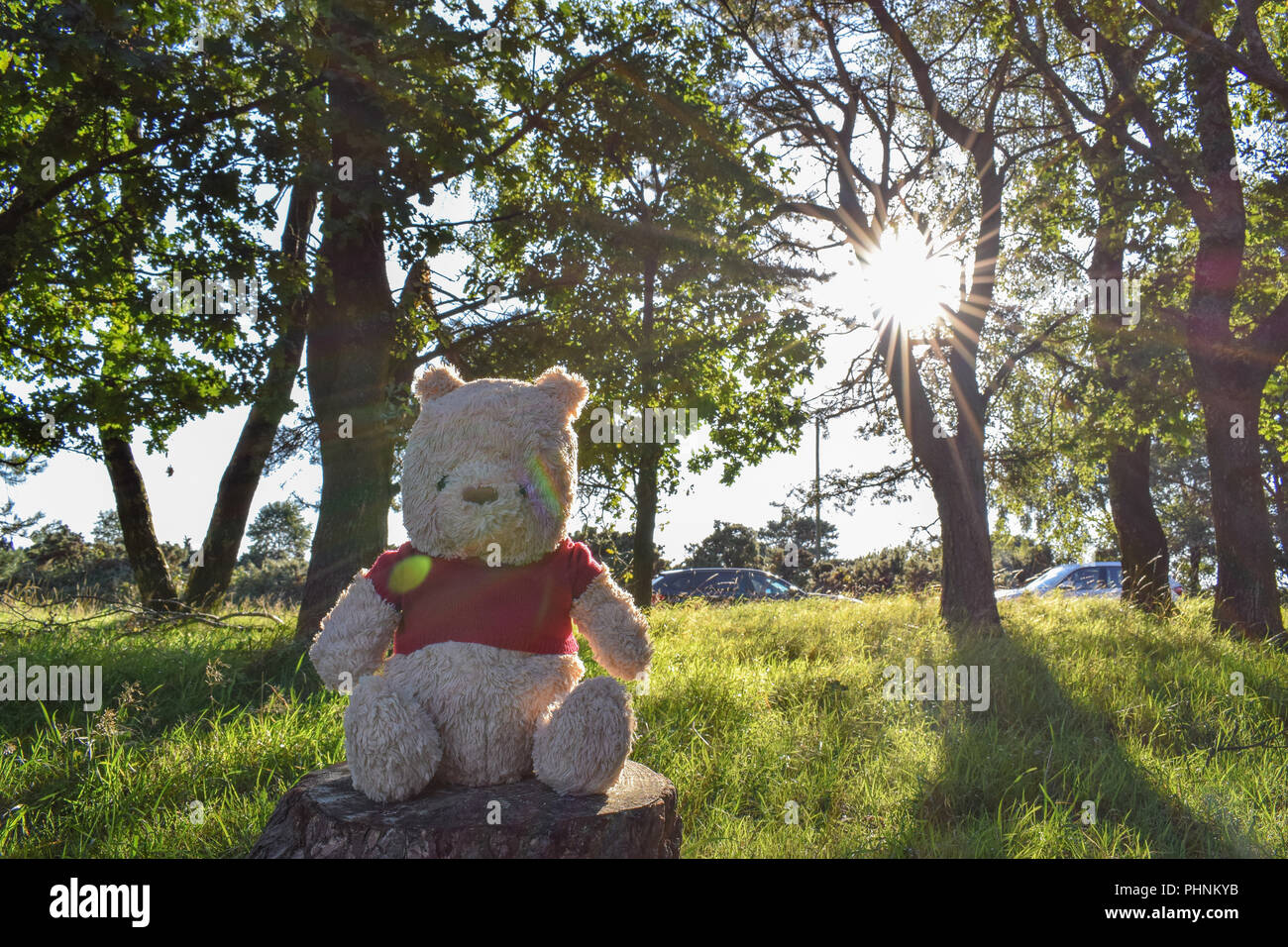 Winnie l’ourson Banque D'Images