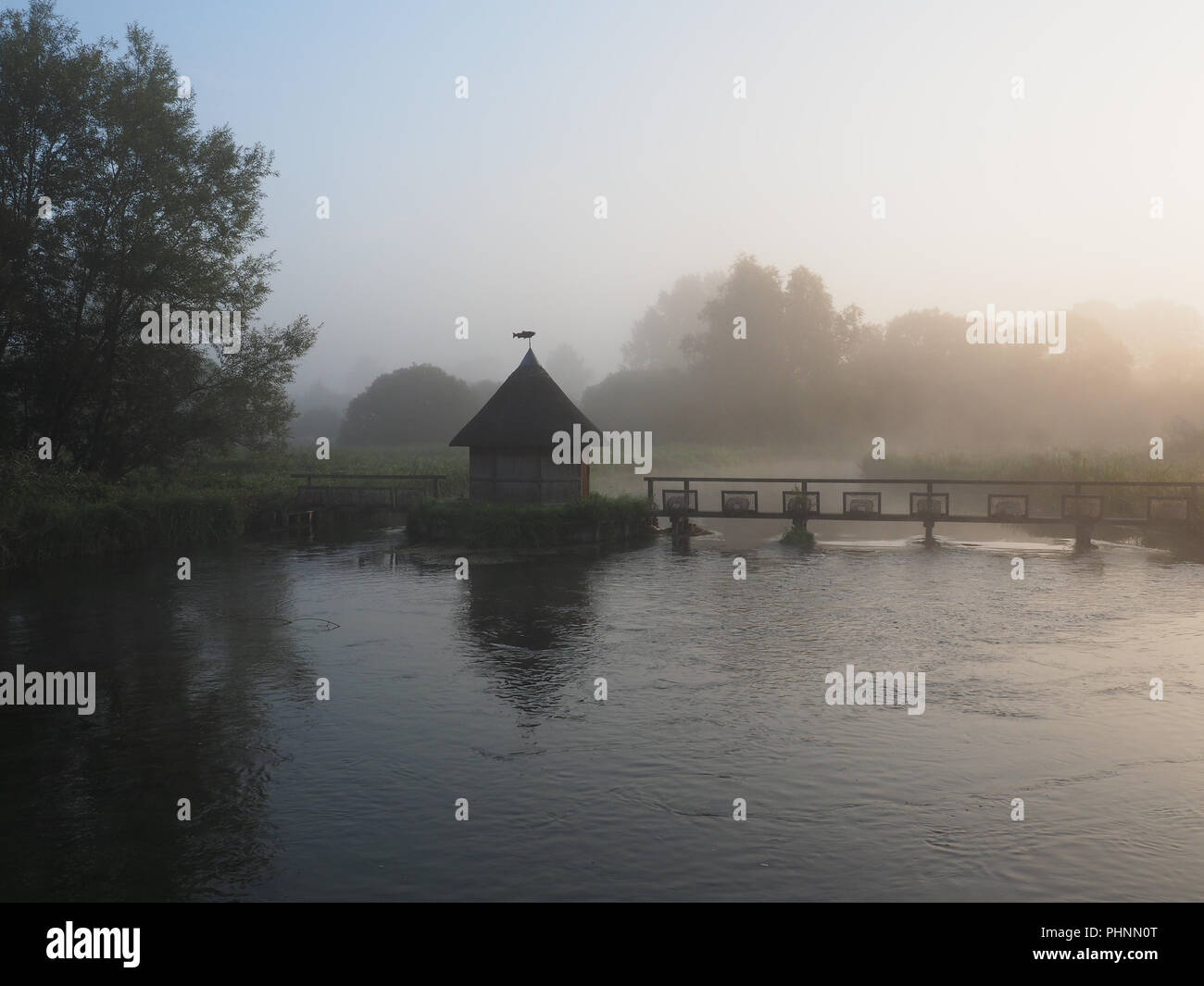 Tôt le matin de brume à Longstock Hampshire Banque D'Images