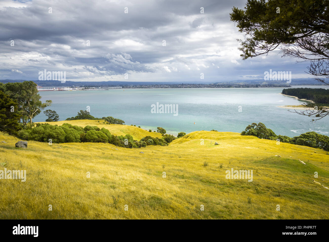 Vue depuis le mont Maunganui Nouvelle-zélande Banque D'Images