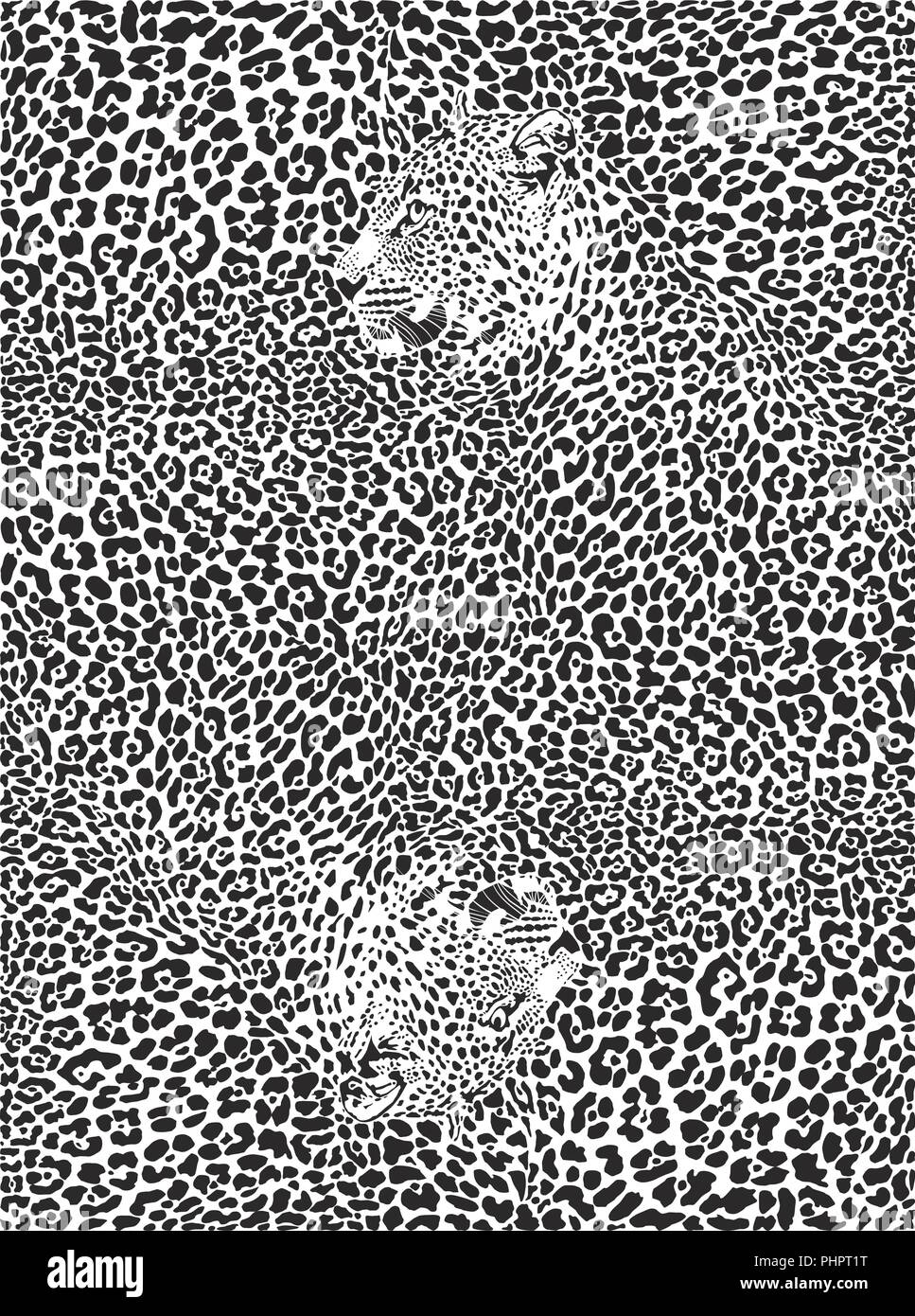 Arrière-plan avec le léopard Illustration de Vecteur