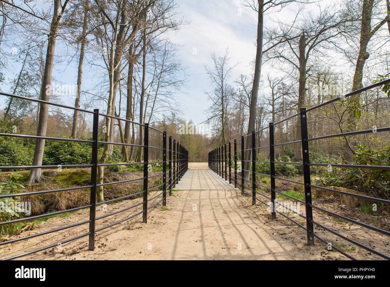 Chemin avec pont métallique en néerlandais forêt Banque D'Images