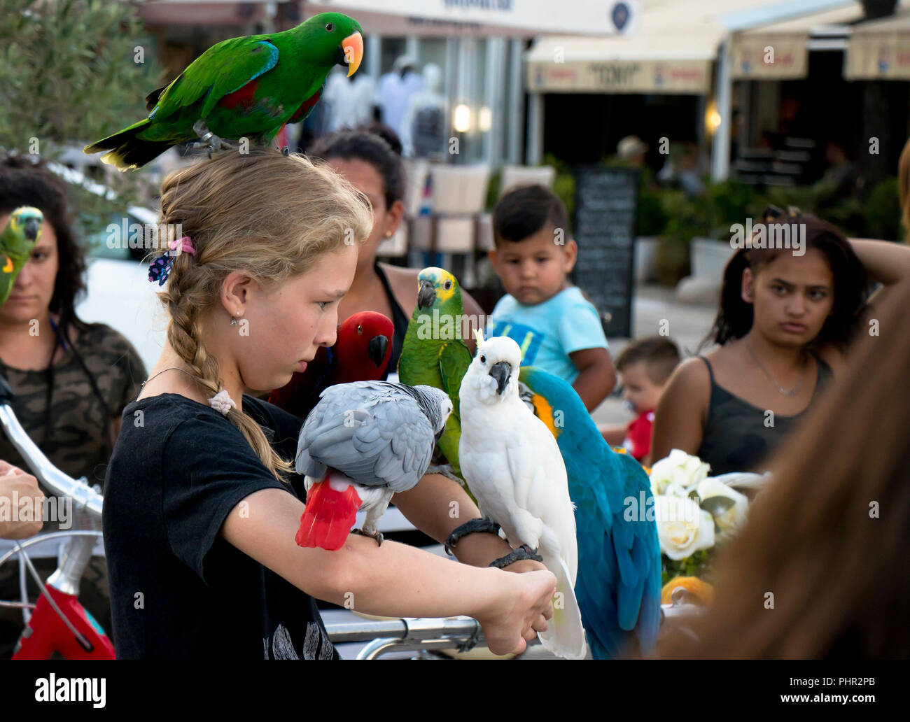 Vodice, Croatie - 2 août 2018 : jeune adolescente touristique avec perroquets sur tête et épaules posant pour la photo et regarder les gens autour d'elle Banque D'Images