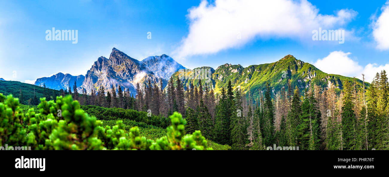 Polish Tatra, paysage d'été avec ciel bleu et nuages blancs. Banque D'Images