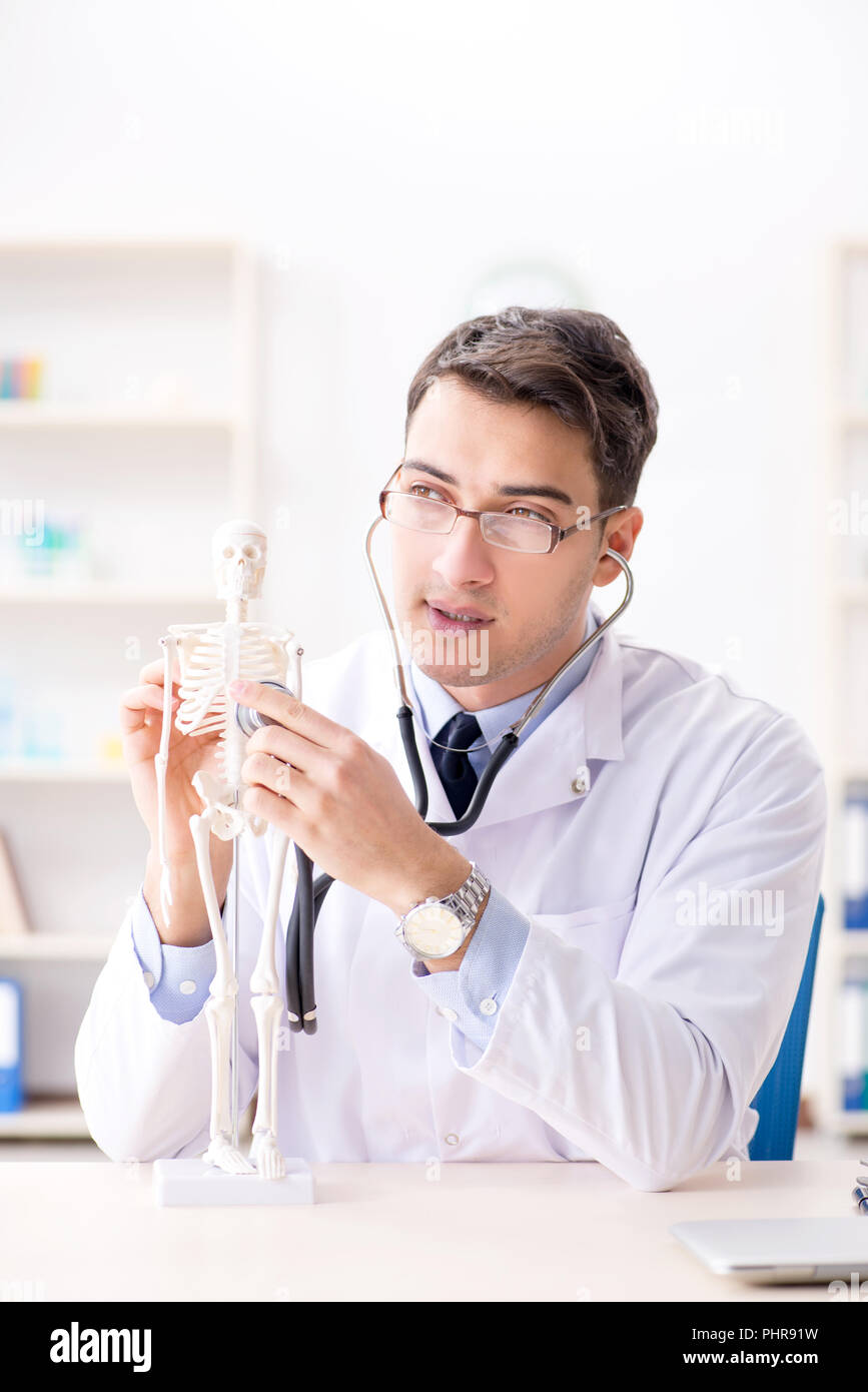Médecin en expliquant les droits de l'organe le squelette Banque D'Images