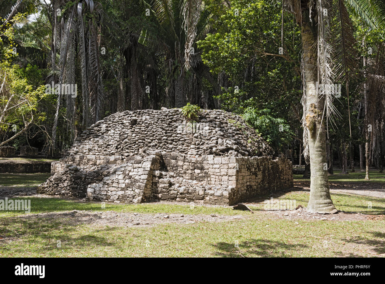 Les ruines de l'ancienne ville maya de Kohunlich, Quintana Roo, Mexique. Banque D'Images