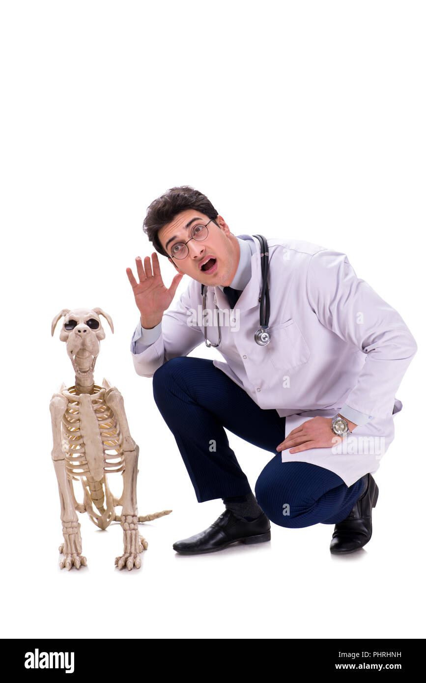 Médecin avec squelette chien isolé sur fond blanc Banque D'Images