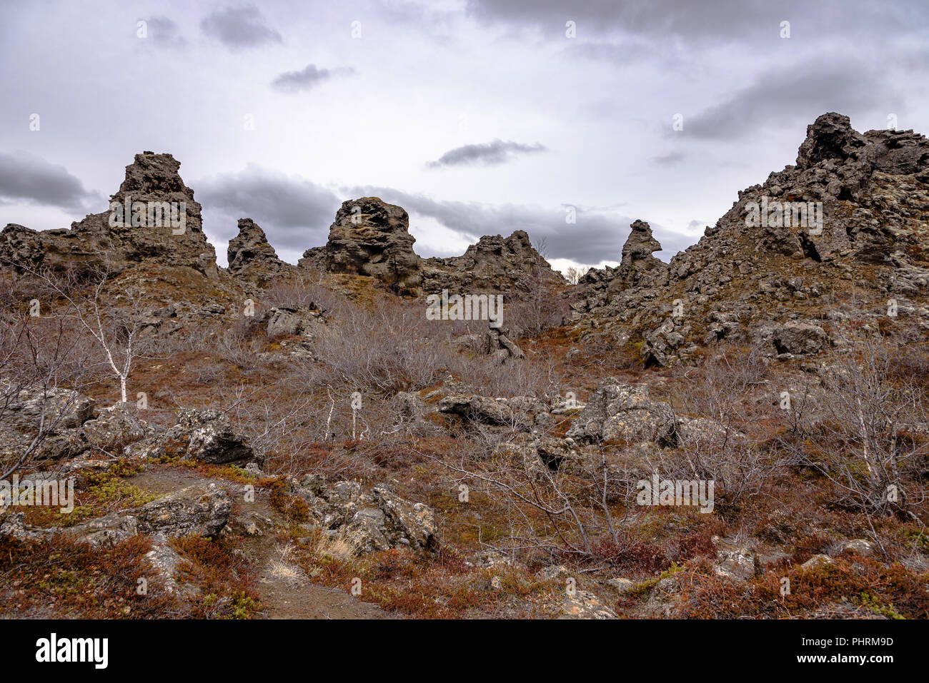 Les formations de roche Dimmuborgir dans le nord de l'Islande Banque D'Images