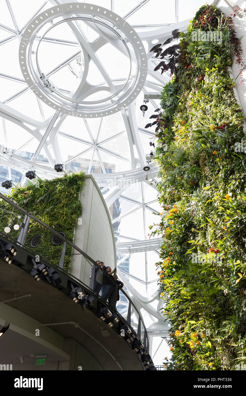 Seattle, Washington : Les visiteurs apprécient le mur vivant à la sphère sur le campus urbain de l'Amazone. Les structures géodésiques chambre espace de bureau, de la vente au détail et de Banque D'Images