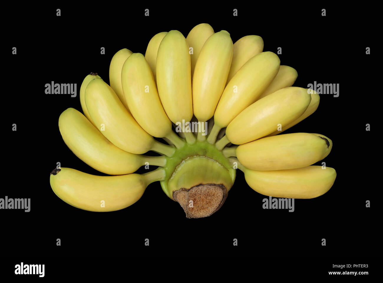 Golden Banana bunch isolated Banque D'Images