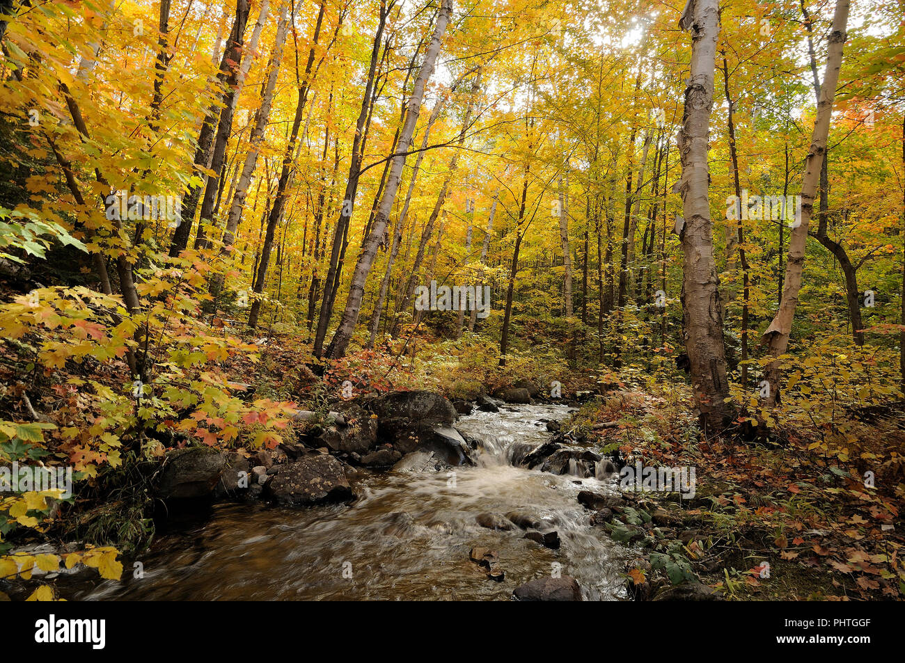 Meditation Wallpapers Banque D Image Et Photos Alamy Meditation Wallpapers Banque D Image Et Photos Alamy
