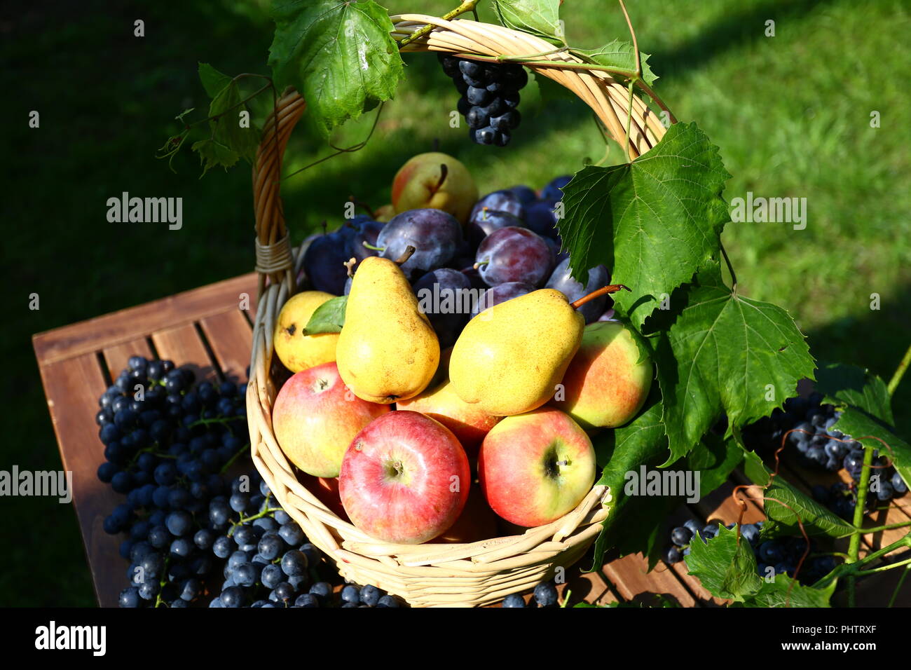 L'alimentation : Le panier de fruits d'été Banque D'Images