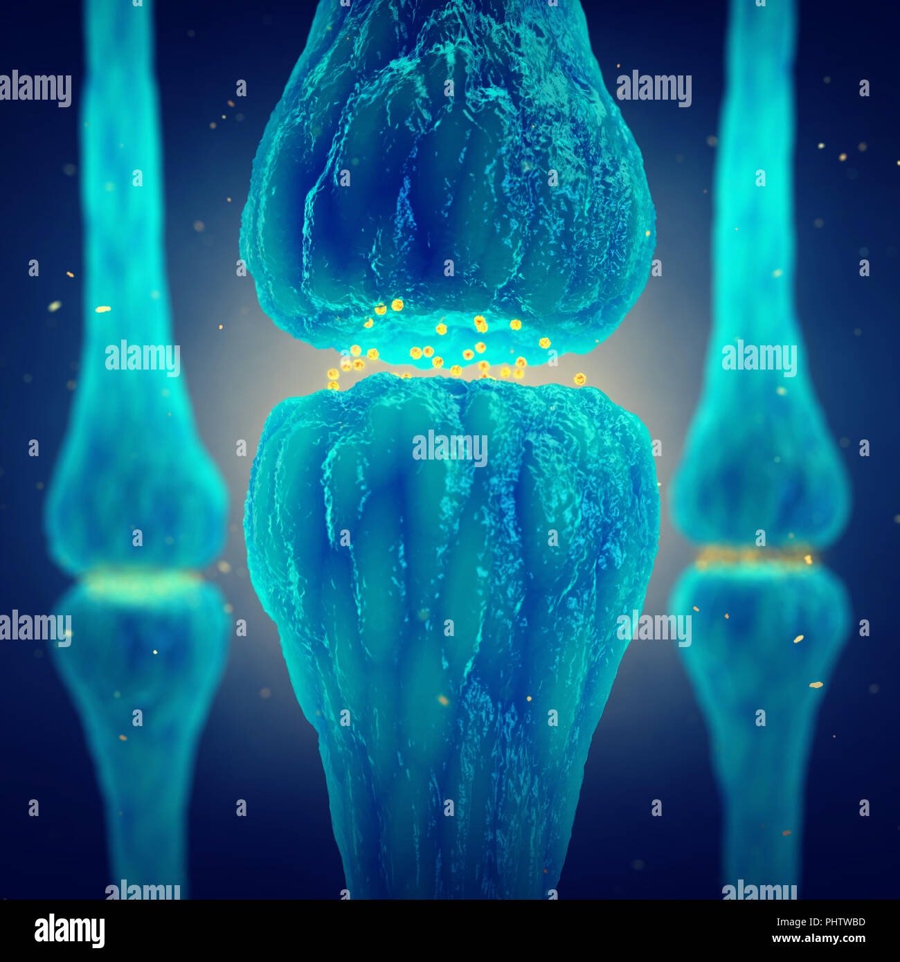 La transmission synaptique, le système nerveux et cerveau synapses Banque D'Images