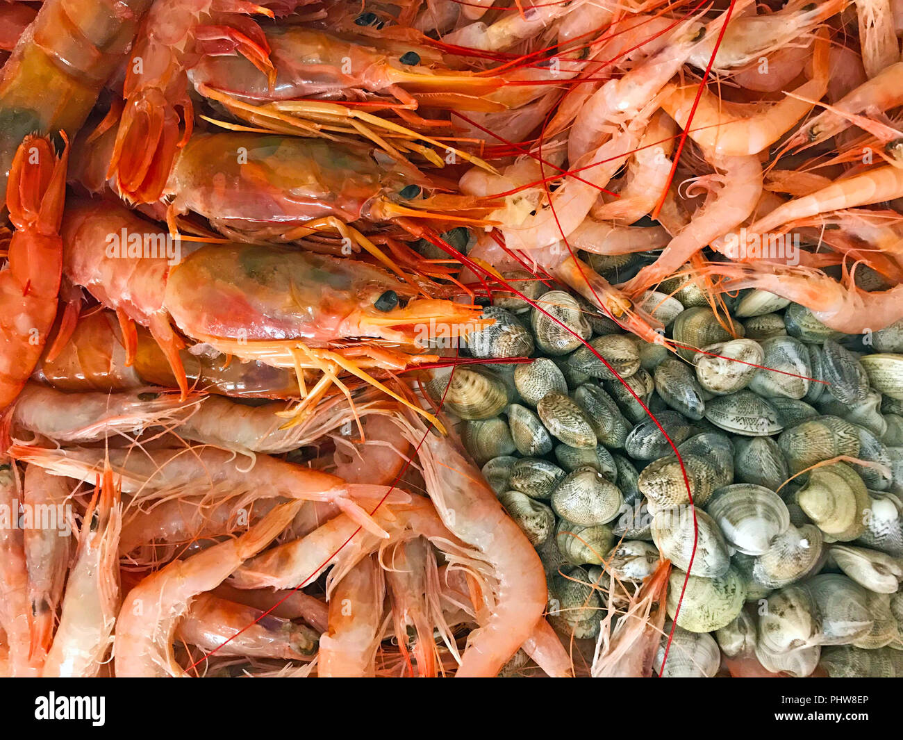Différents types d'srimps et les coquillages dans un seul endroit Banque D'Images