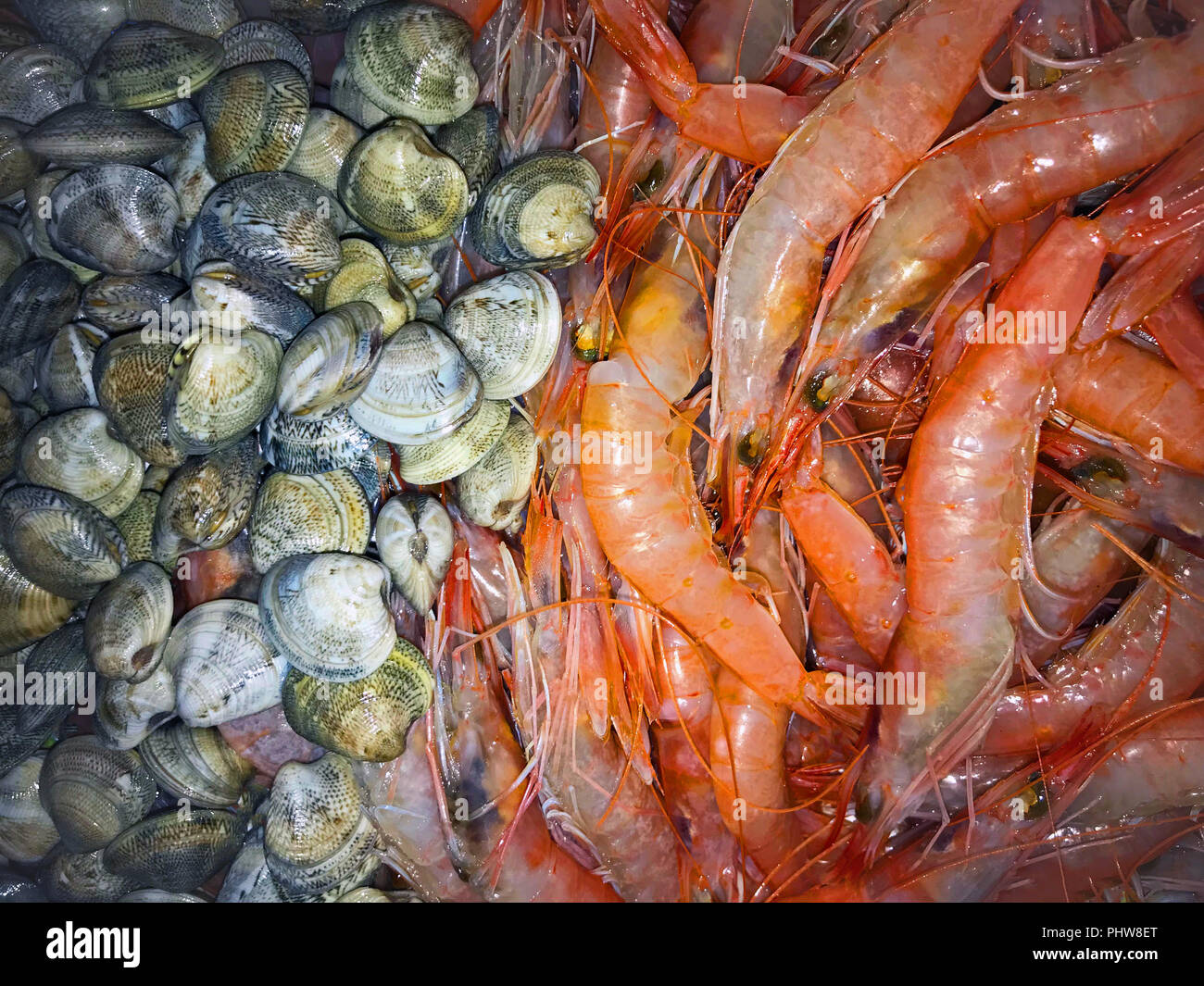 Big rouge crevettes et coquillages gris, macro Banque D'Images
