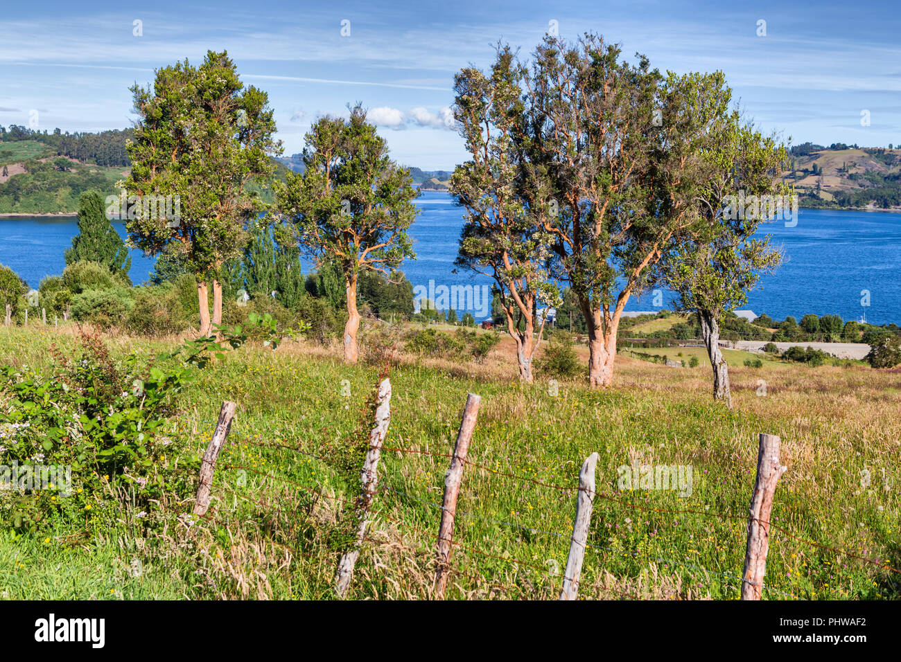 De la mer, côte de Chiloé Quinchao, Ile de Chiloé, Los Lagos region, Chile Banque D'Images