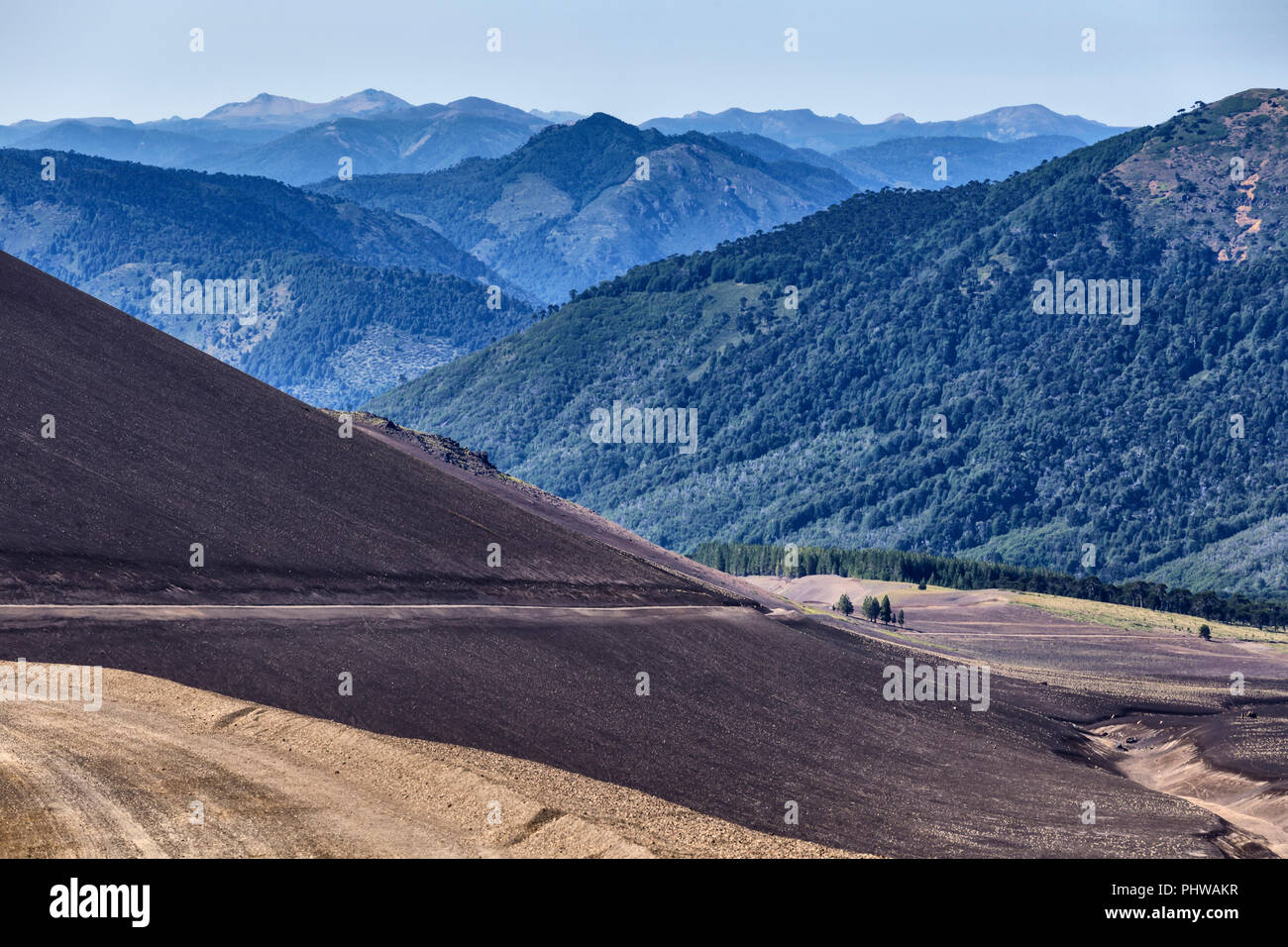 Volcan Lonquimay, Réserve nationale du Malalcahuello-Nalcas, région d'Araucania, Chili Banque D'Images