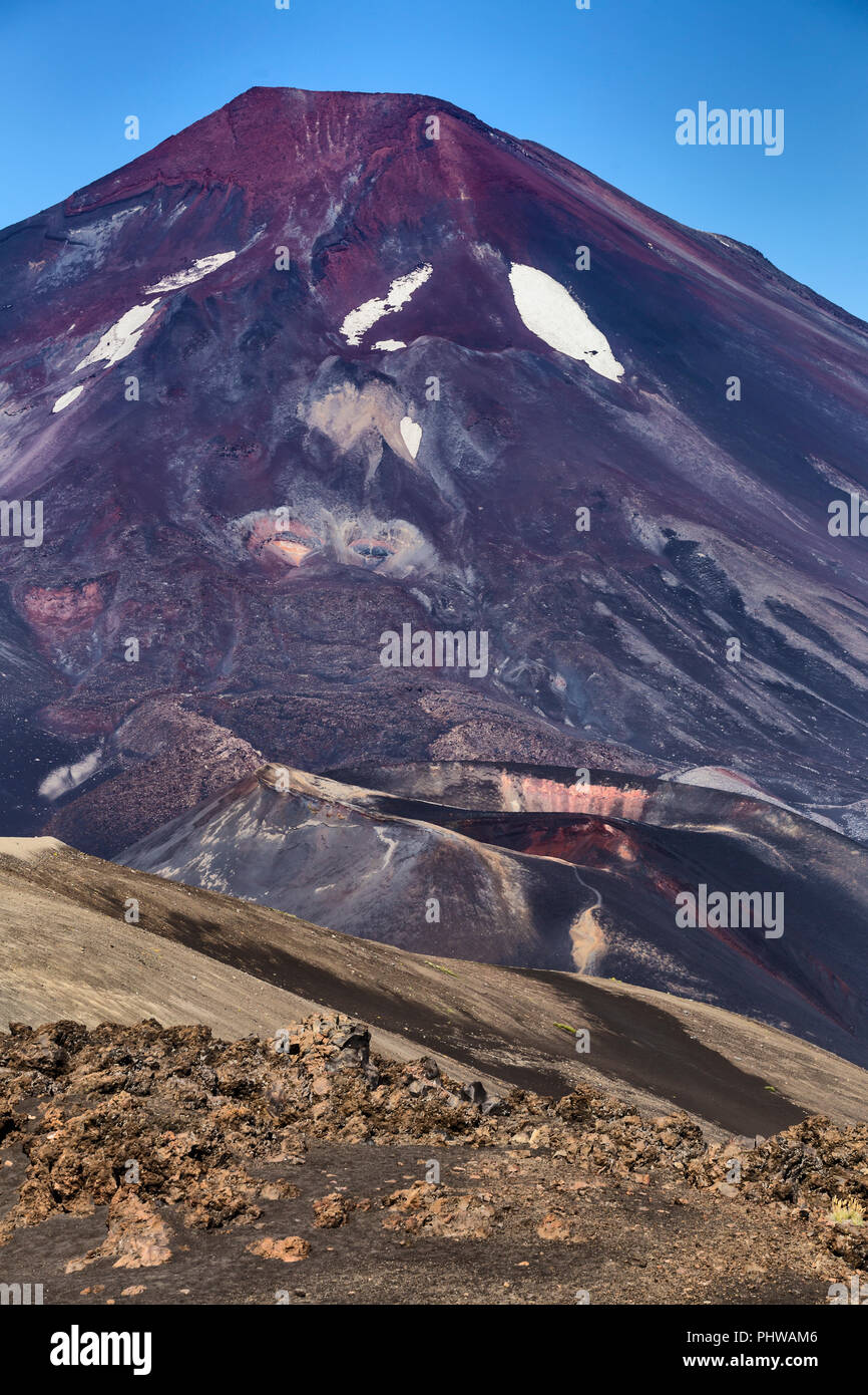 Volcan Lonquimay, Réserve nationale du Malalcahuello-Nalcas, région d'Araucania, Chili Banque D'Images