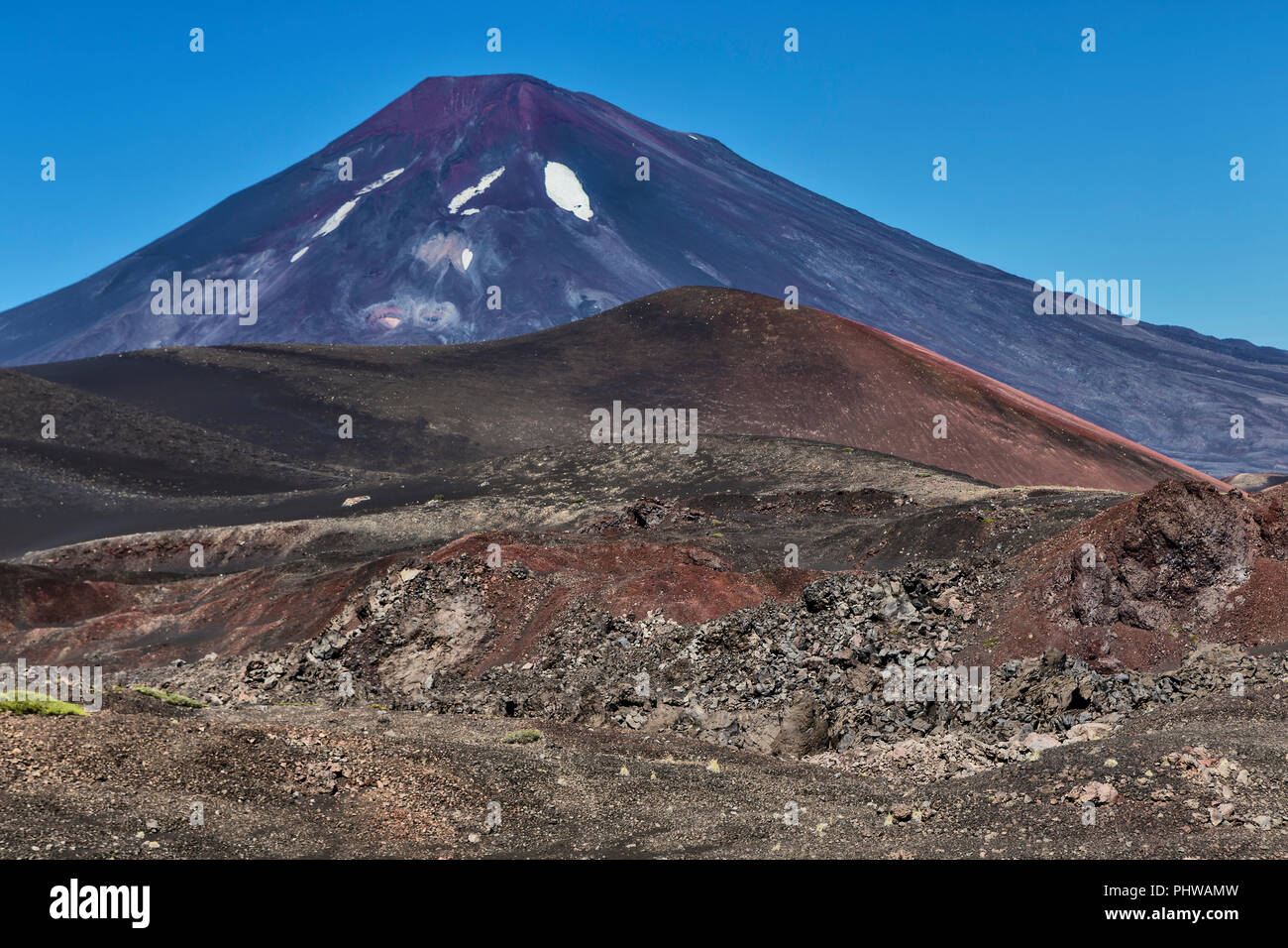 Volcan Lonquimay, Réserve nationale du Malalcahuello-Nalcas, région d'Araucania, Chili Banque D'Images