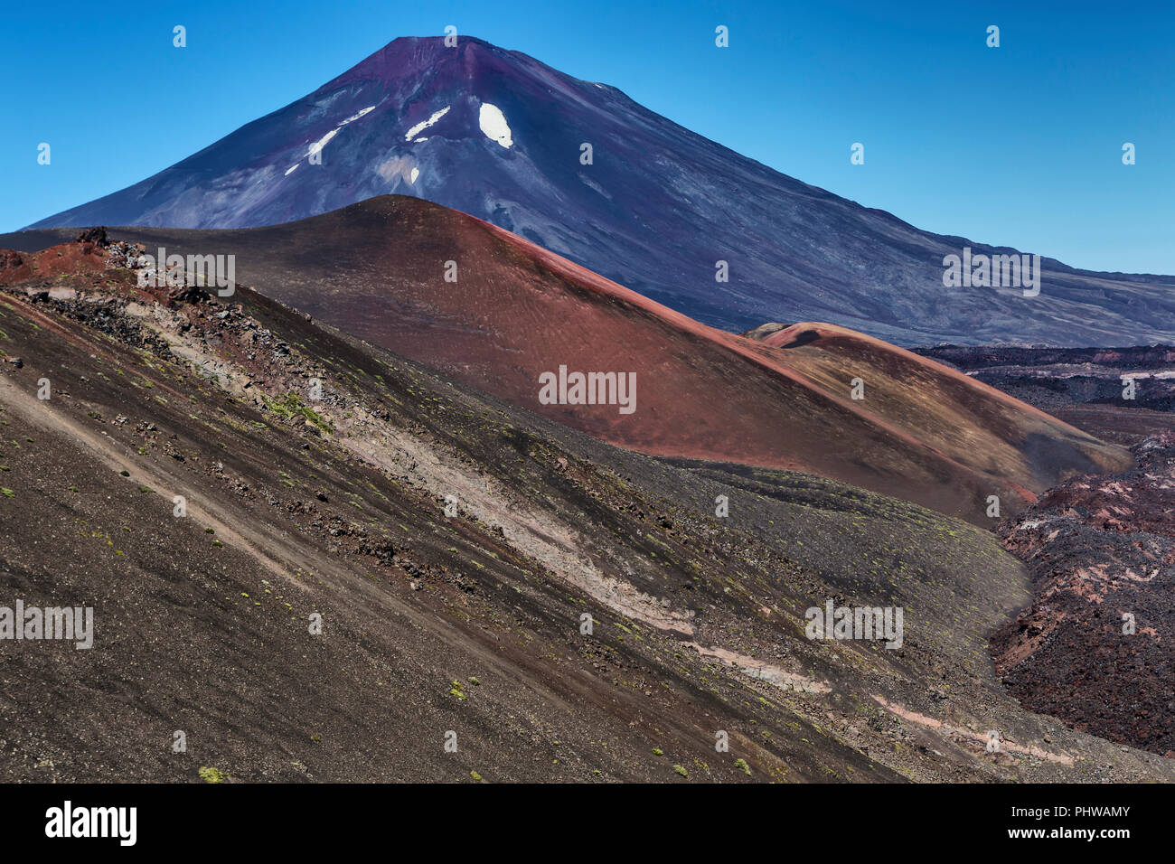 Volcan Lonquimay, Réserve nationale du Malalcahuello-Nalcas, région d'Araucania, Chili Banque D'Images
