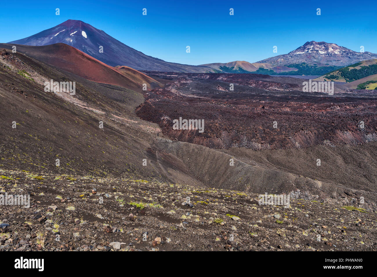 Volcan Lonquimay, Réserve nationale du Malalcahuello-Nalcas, région d'Araucania, Chili Banque D'Images