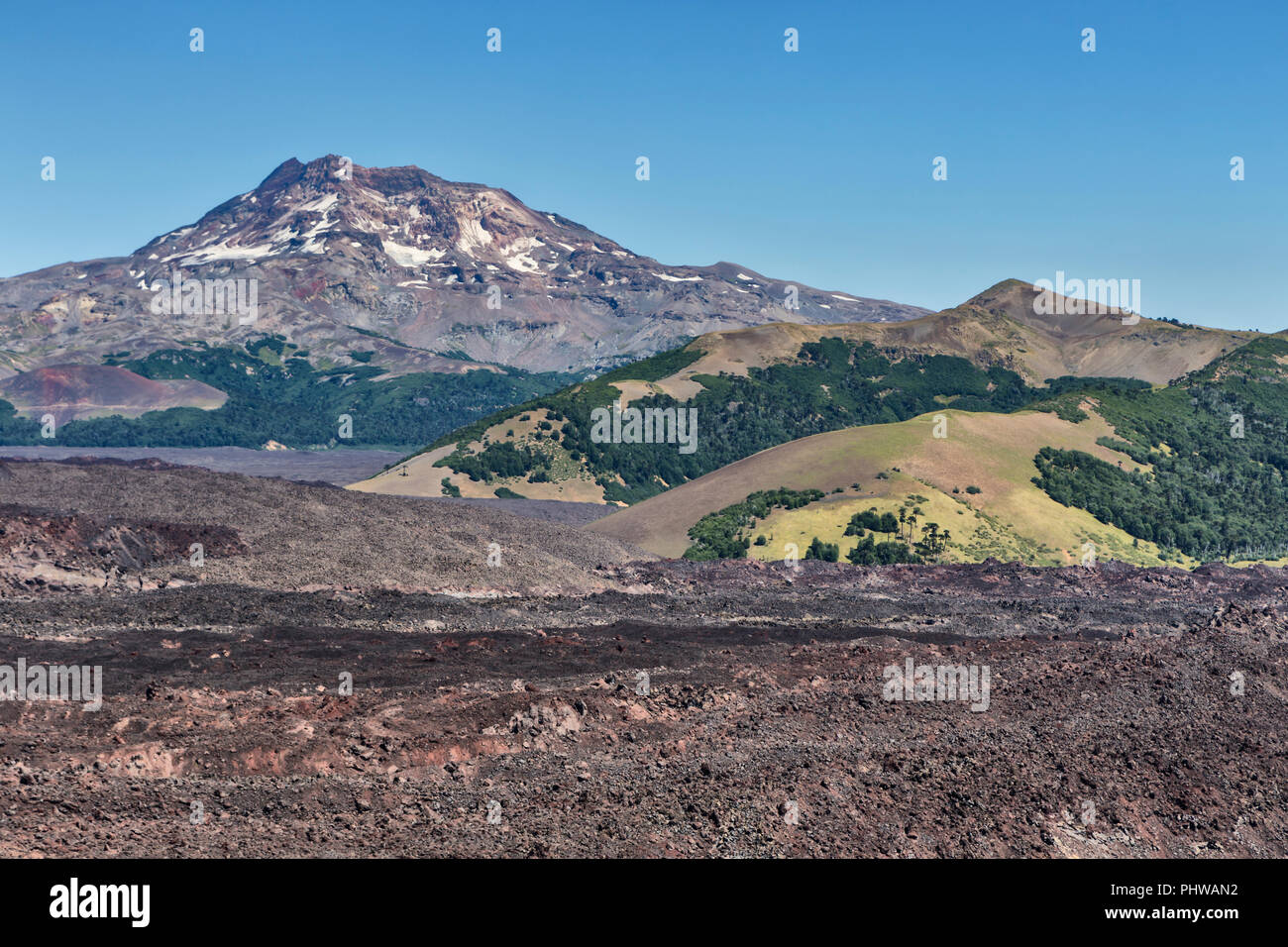 Volcan Lonquimay, Réserve nationale du Malalcahuello-Nalcas, région d'Araucania, Chili Banque D'Images